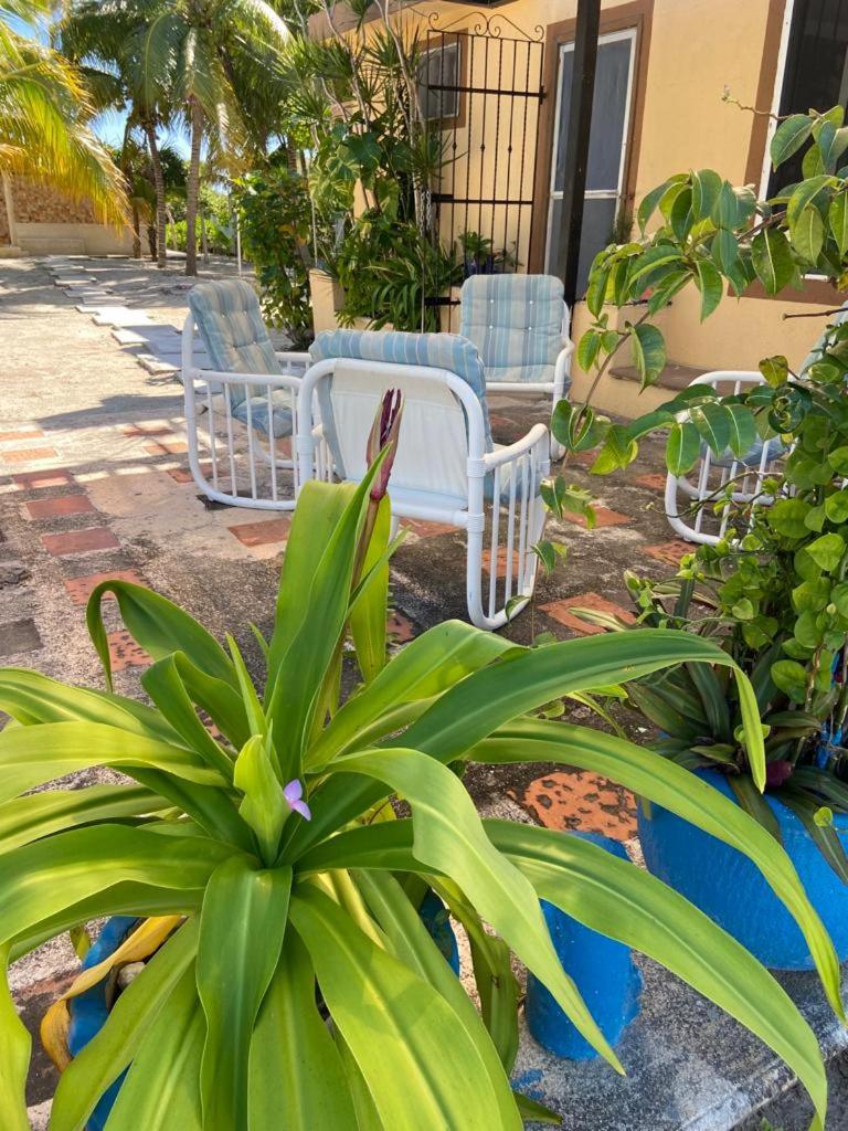Casa Ibiza Celestun, foto 6