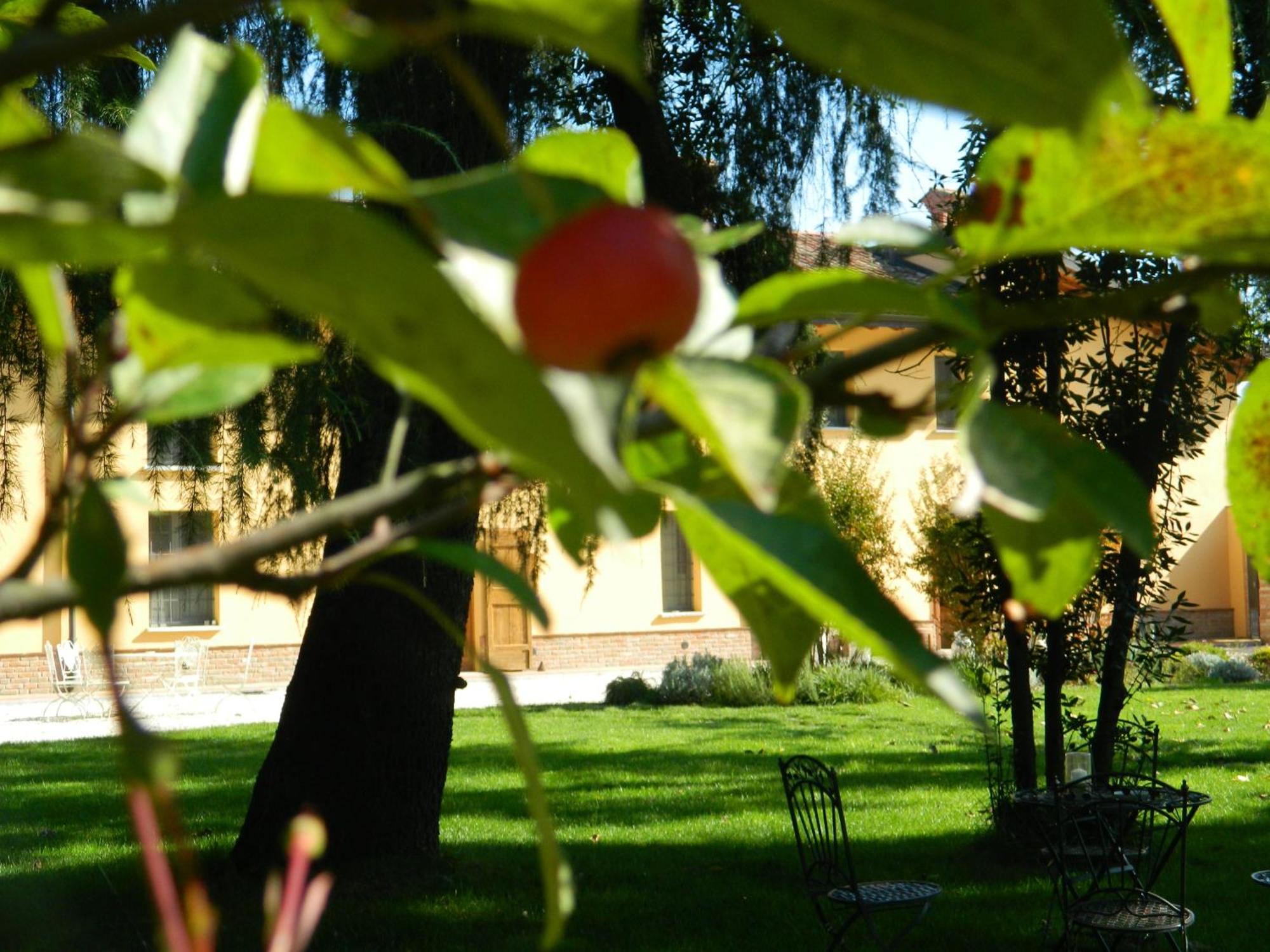 Agriturismo Cascina Pezzolo — foto 5
