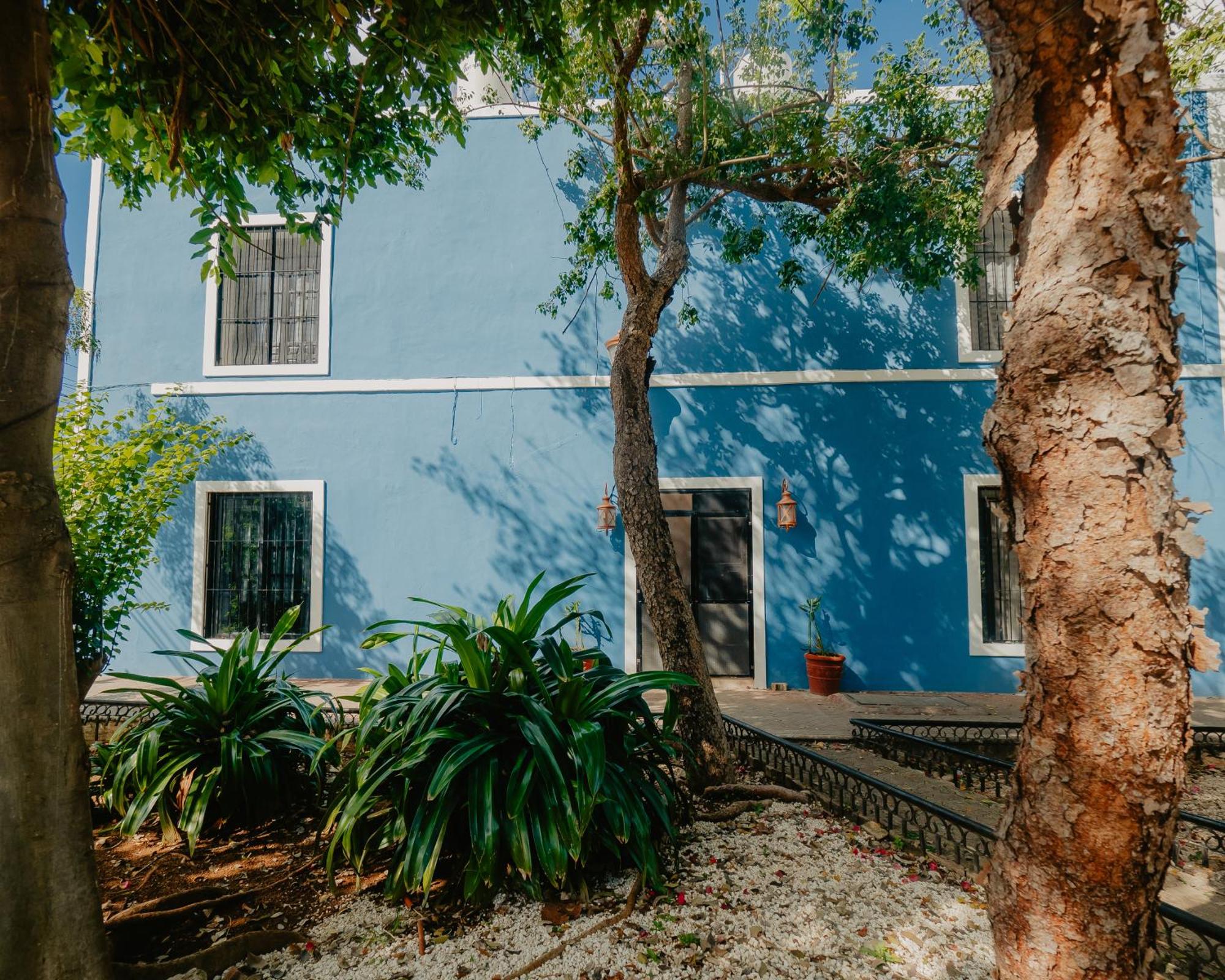Nido Colibrí - Private Rooms and hostel Dorms in Remate de Paseo Montejo, imagen 5
