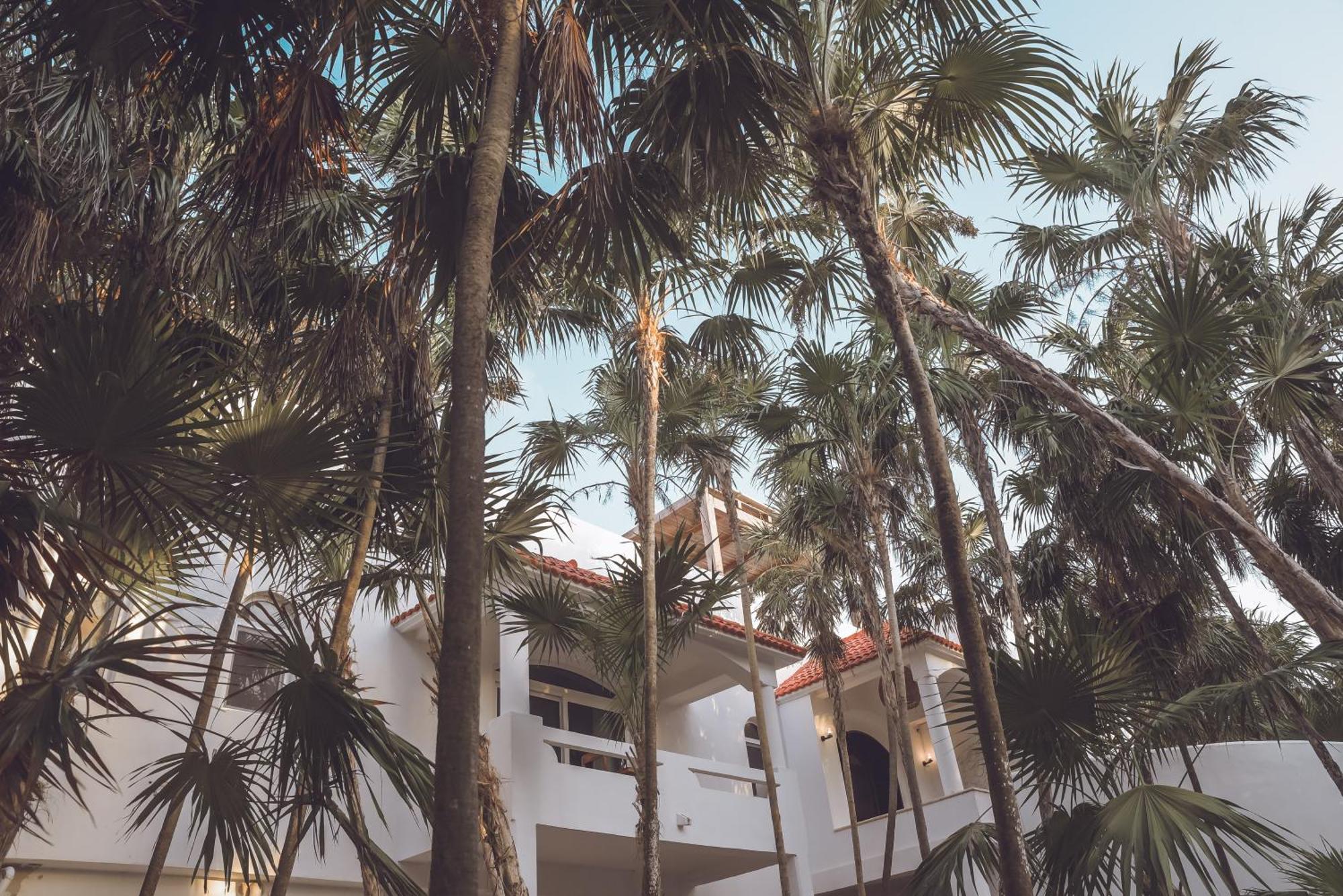 Villa Destiny Tulum beach front luxury villa, foto 6