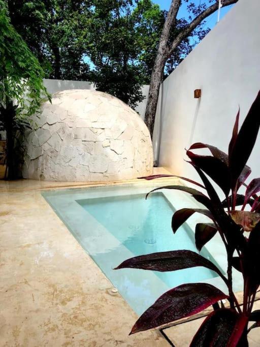 Near Beach+Jungle Views. King bed+220 megs+2 bikes, foto 9