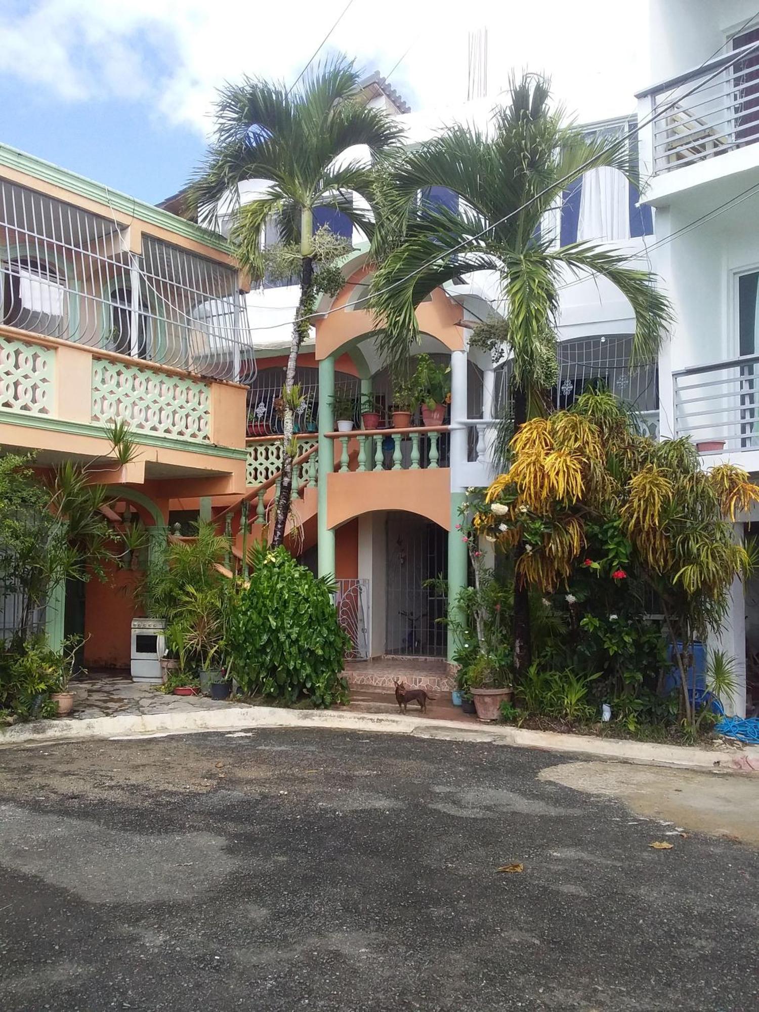 Best bed and breakfast in Samana Breakfast