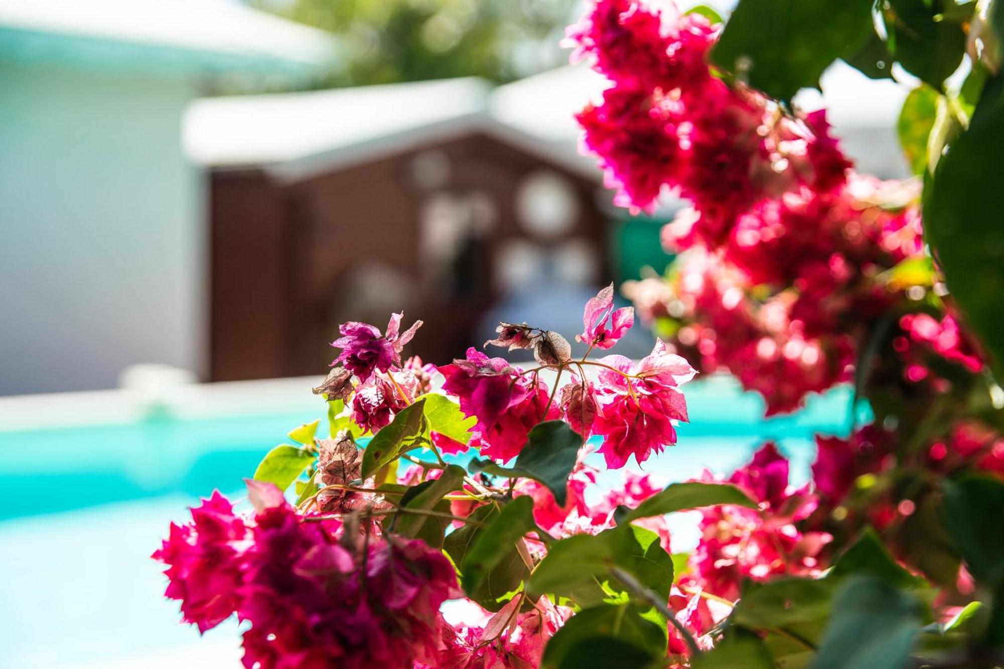 Villa La Plumeria, imagen 4