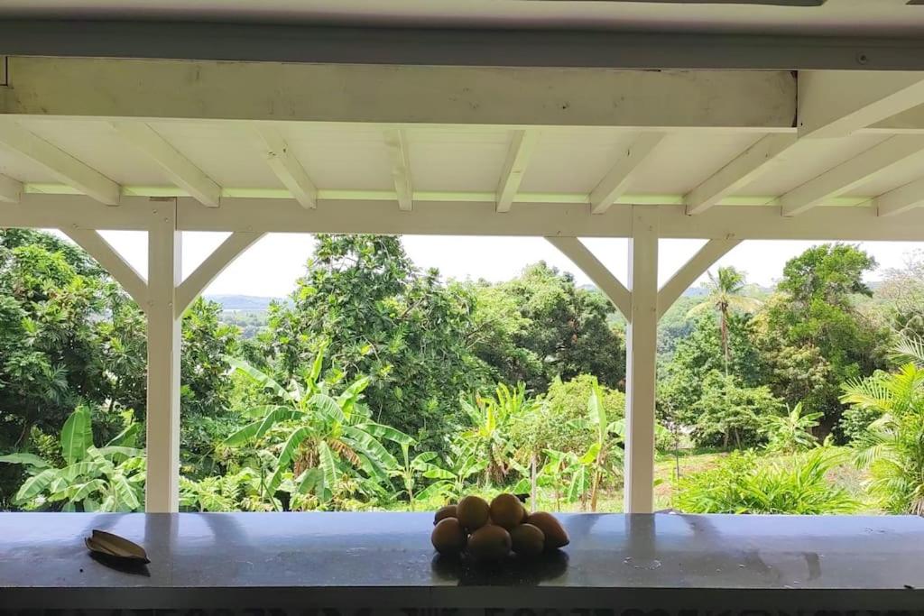 Appartement spacieux, soigné et tout confort sur la Trinité