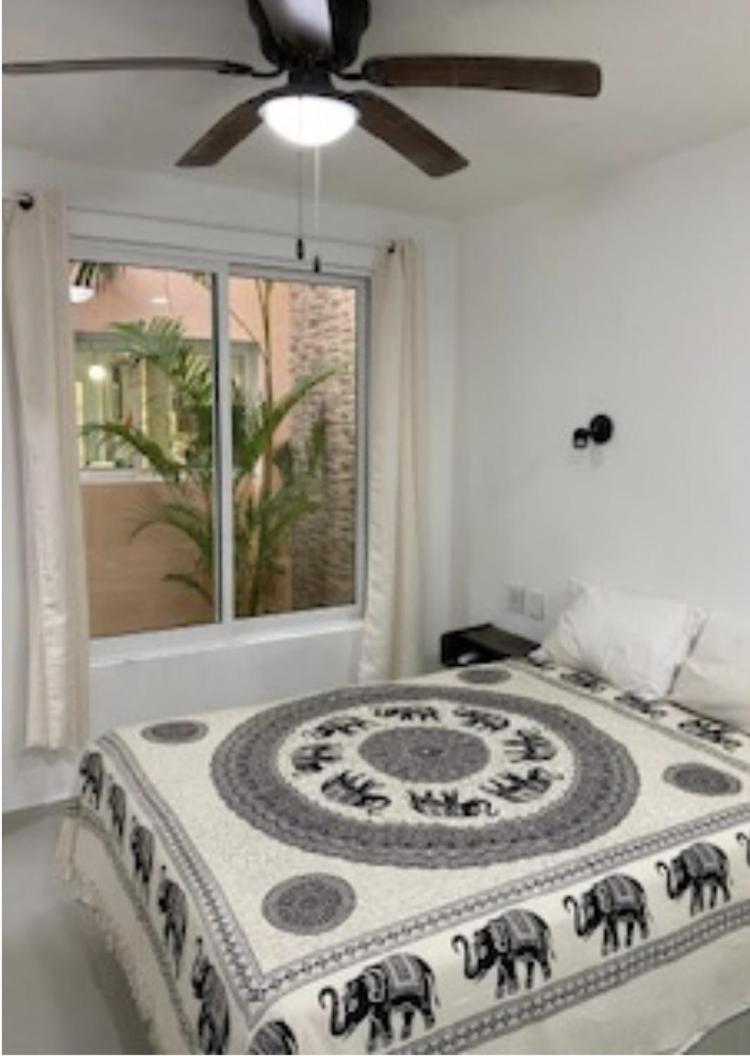 Porto Regina Suite, imagen 5