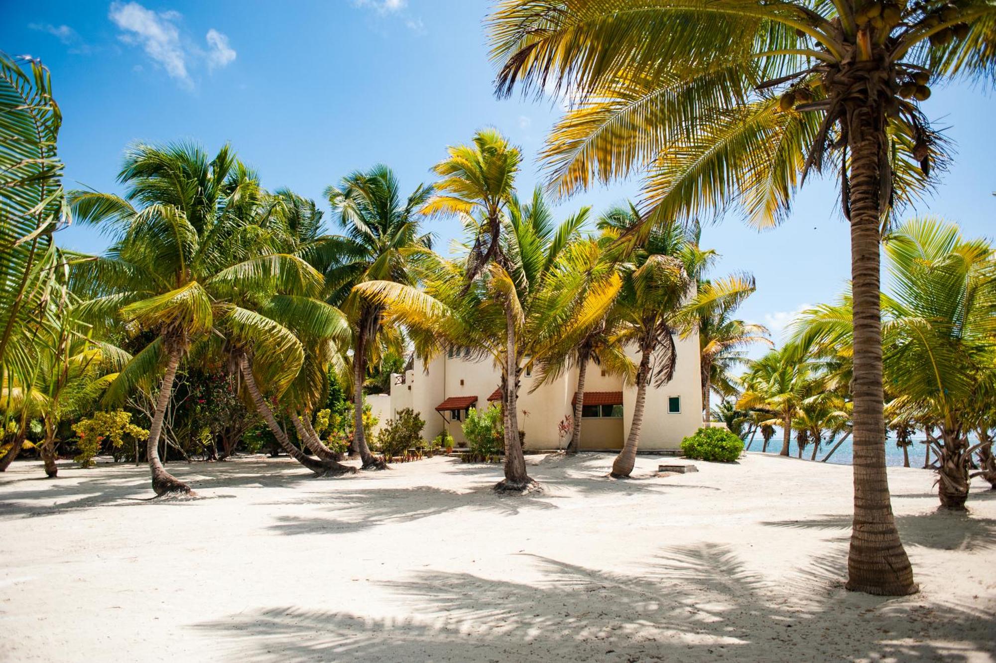 Yum Botic Villa Beach House, imagen 4