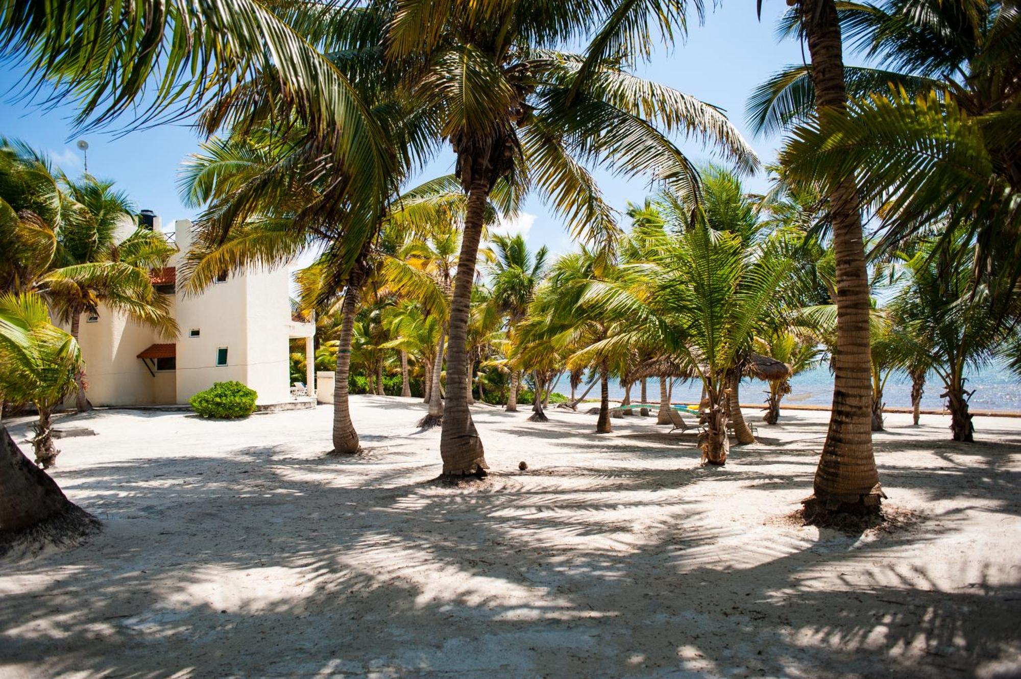 Yum Botic Villa Beach House, imagen 5