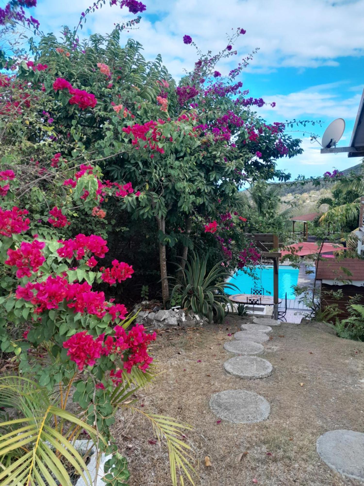 Charmant T3 climatisé Piscine privée, imagen 2