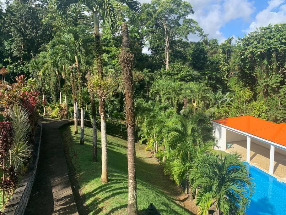 Jardin Secret, imagen 3
