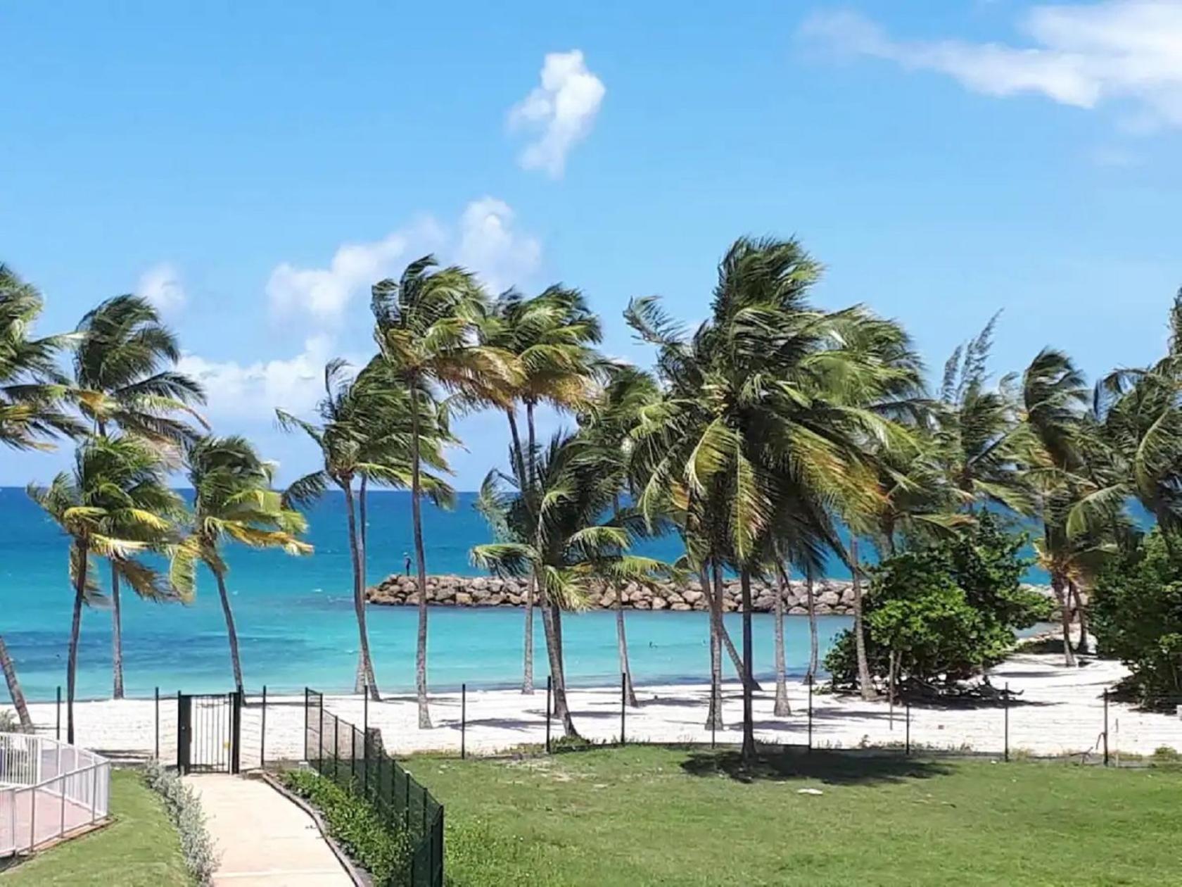 Blue Paradise Studio avec acces privatif plage