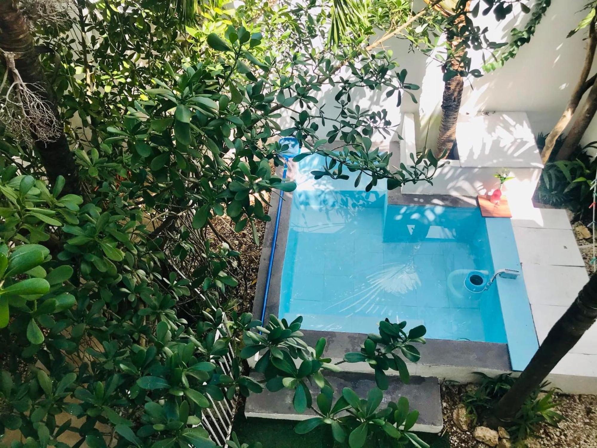 Cozy Tiny Studio AcasadiAlexPlayadelCarmen, imagen 3