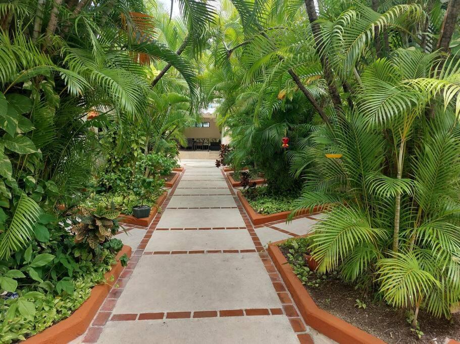 Villas Cozumel #8, foto 9