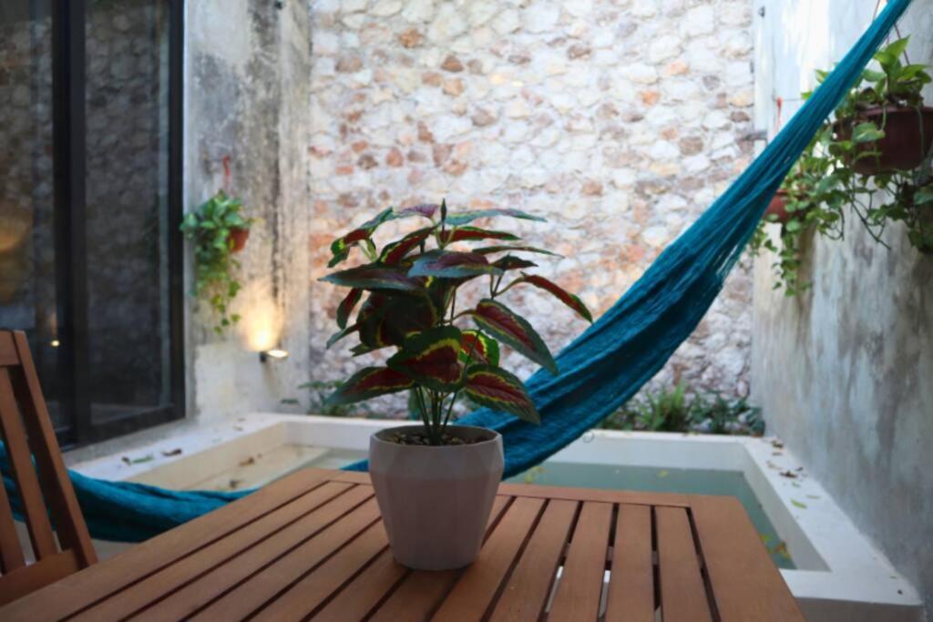 Casa Coco, foto 7