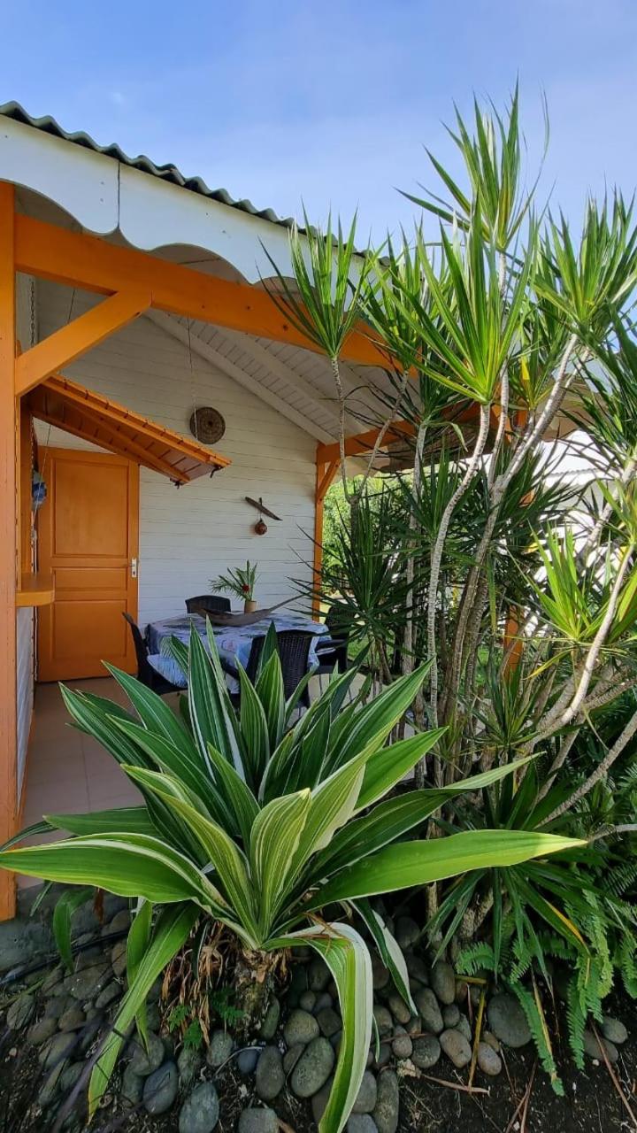 Bungalows du Soleil - Piscine Jardin Fleuri, foto 16