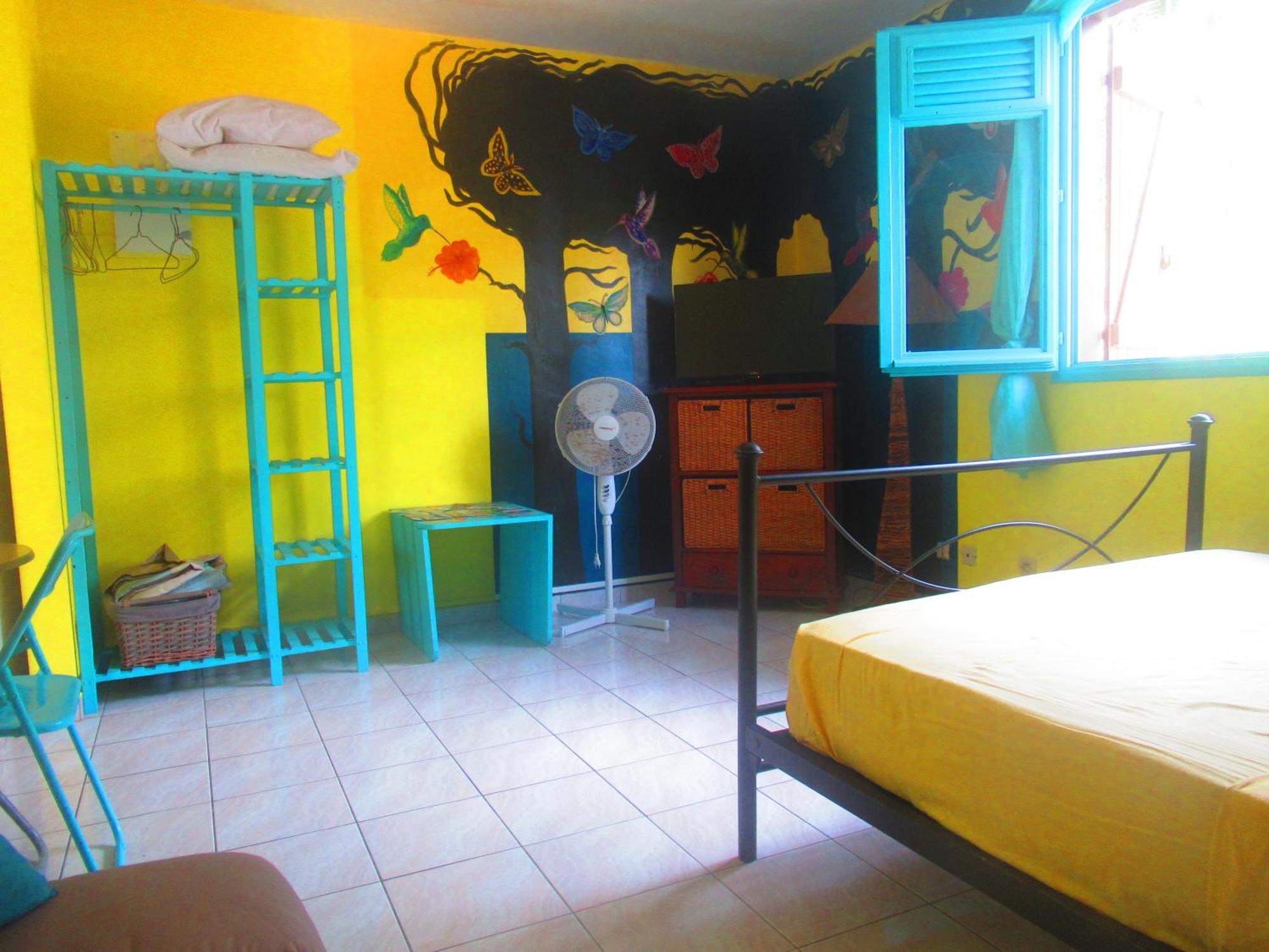 Caribgites, foto 12