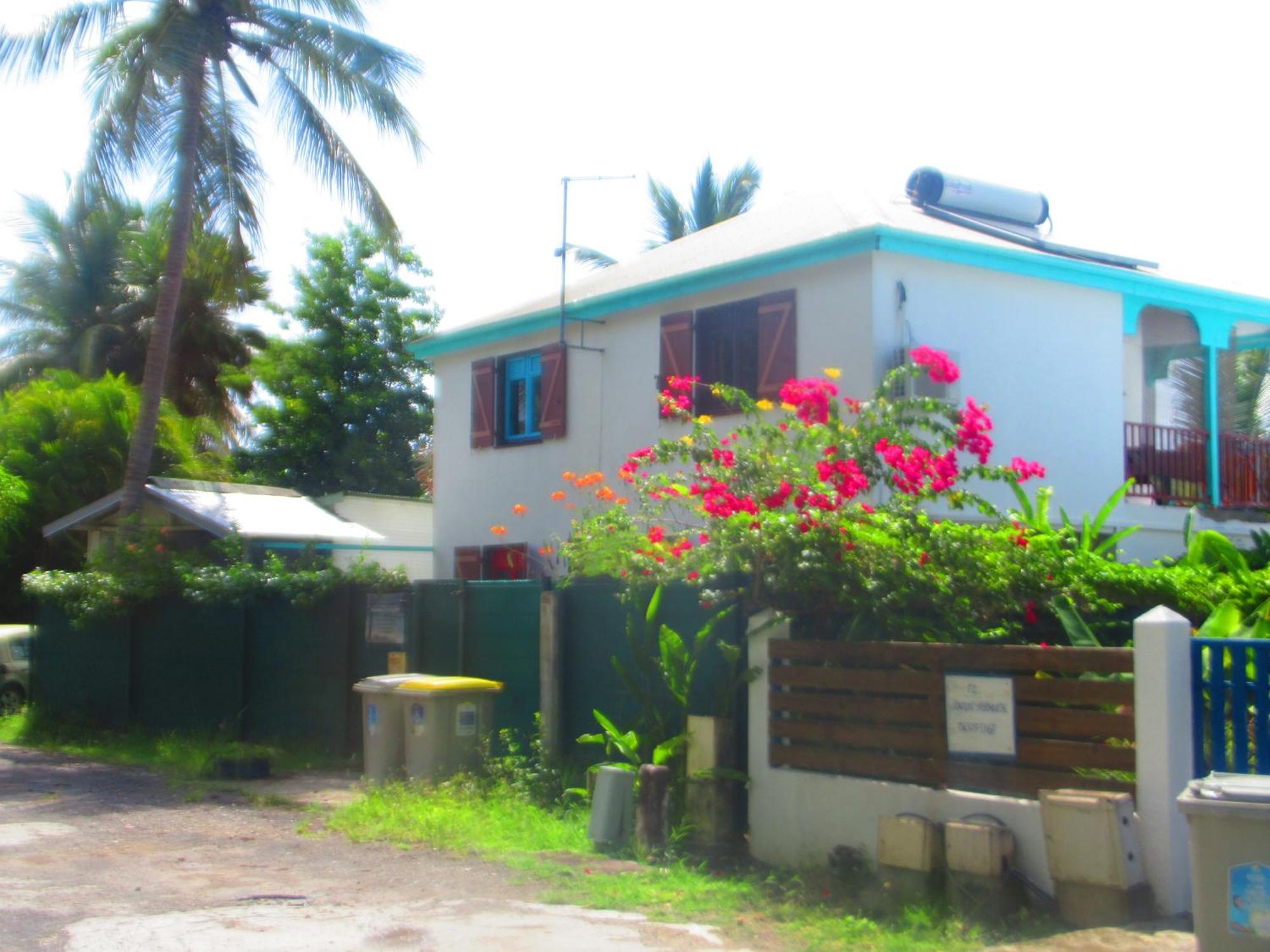 Caribgites, foto 7