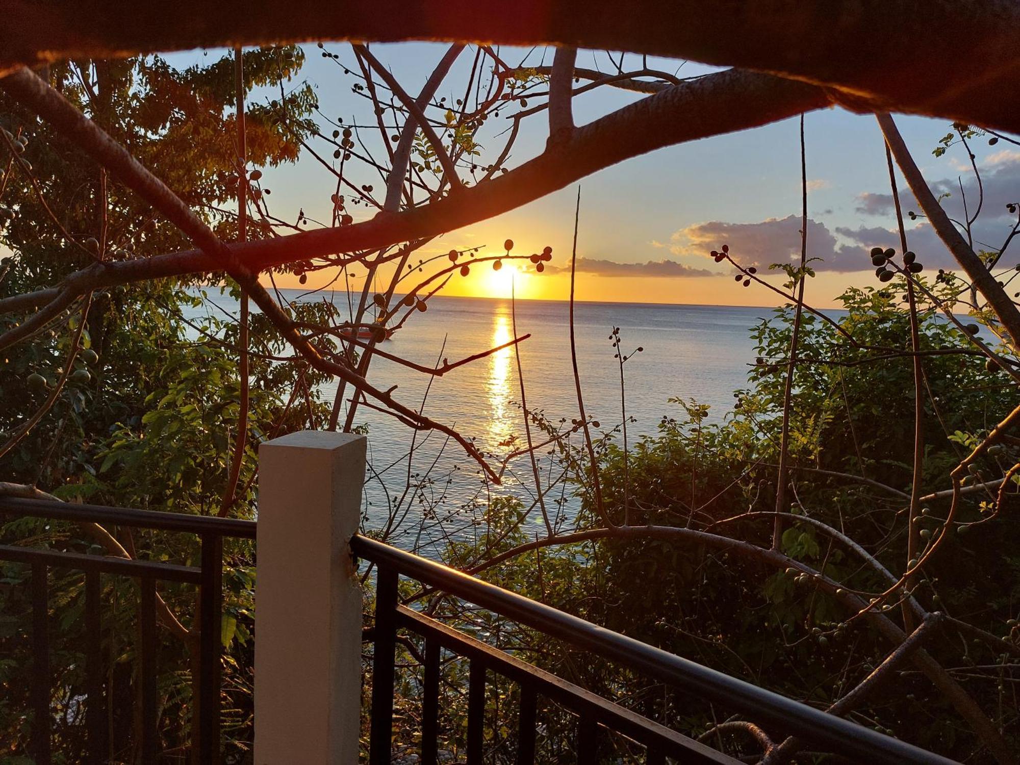 La Terrasse Des Tortues, foto 8