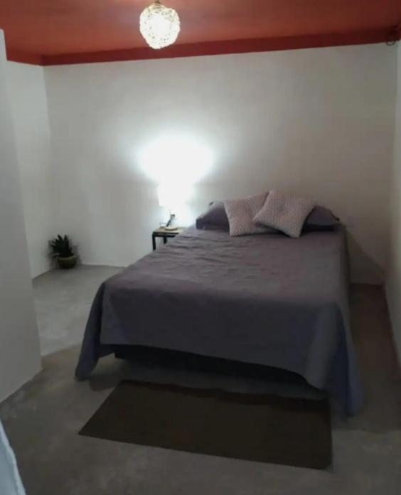 La Casa de los Cactus 8