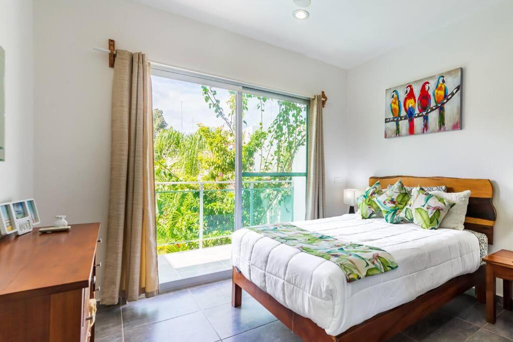 Casa Alegria BY Sandy Powerful, imagen 2