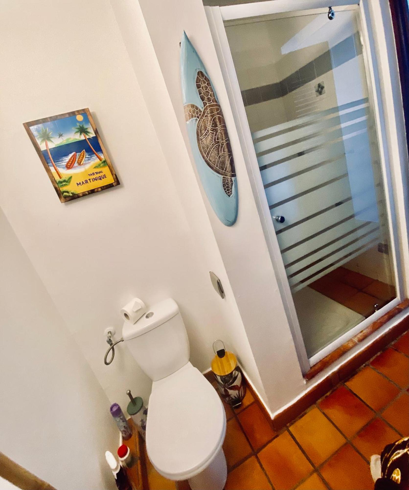 Ti iguane, imagen 5