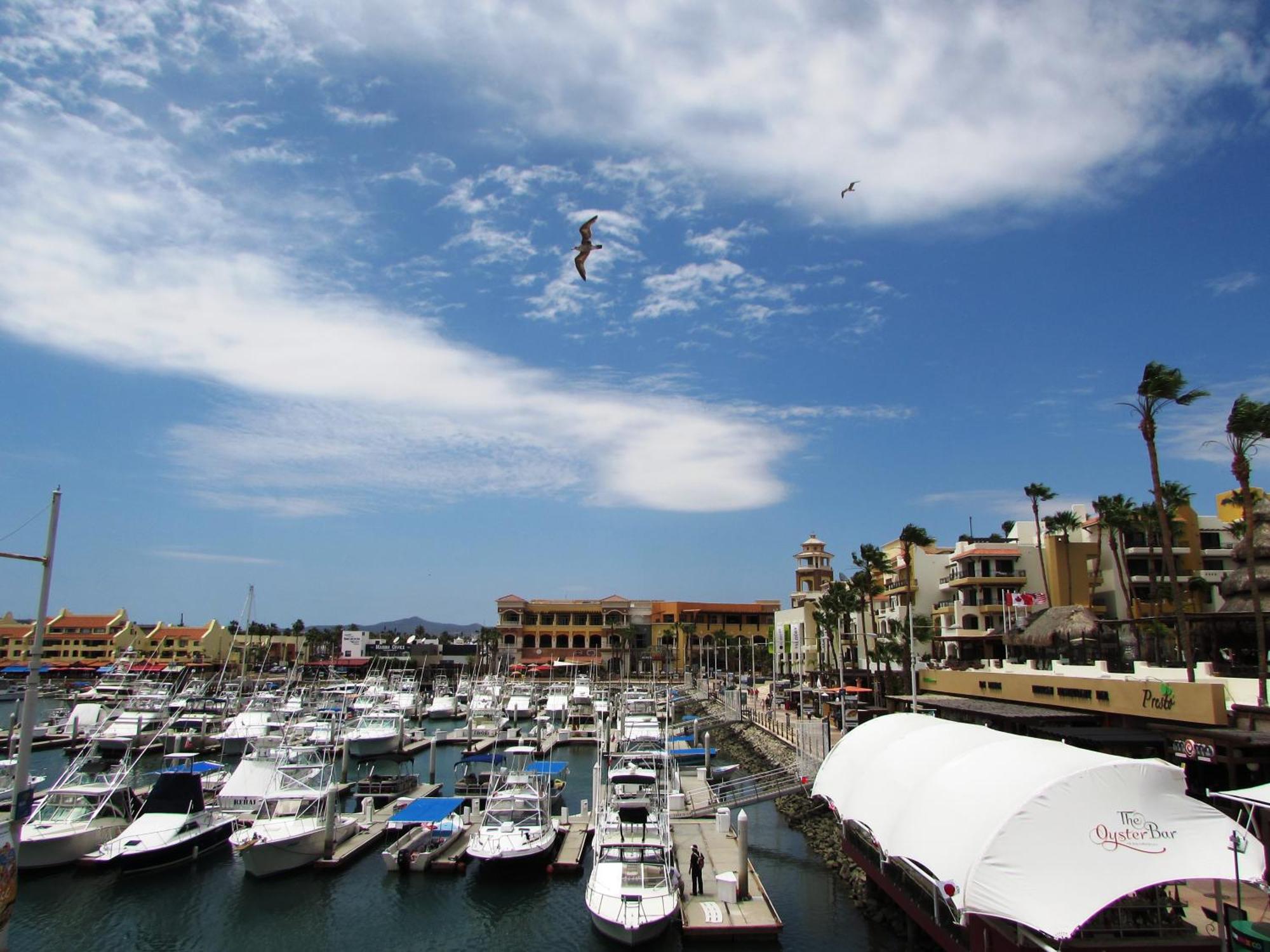 Marina Cabo Plaza Town & Beach Condos — foto 5