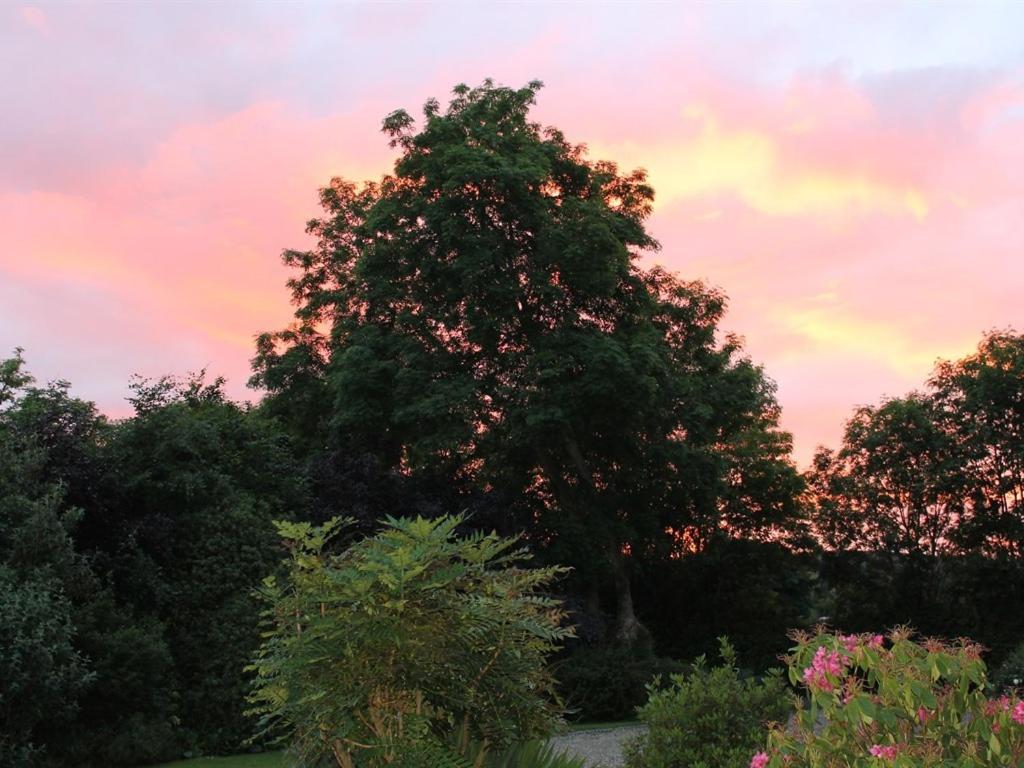 Blossom Hill Bed and Breakfast — foto 3