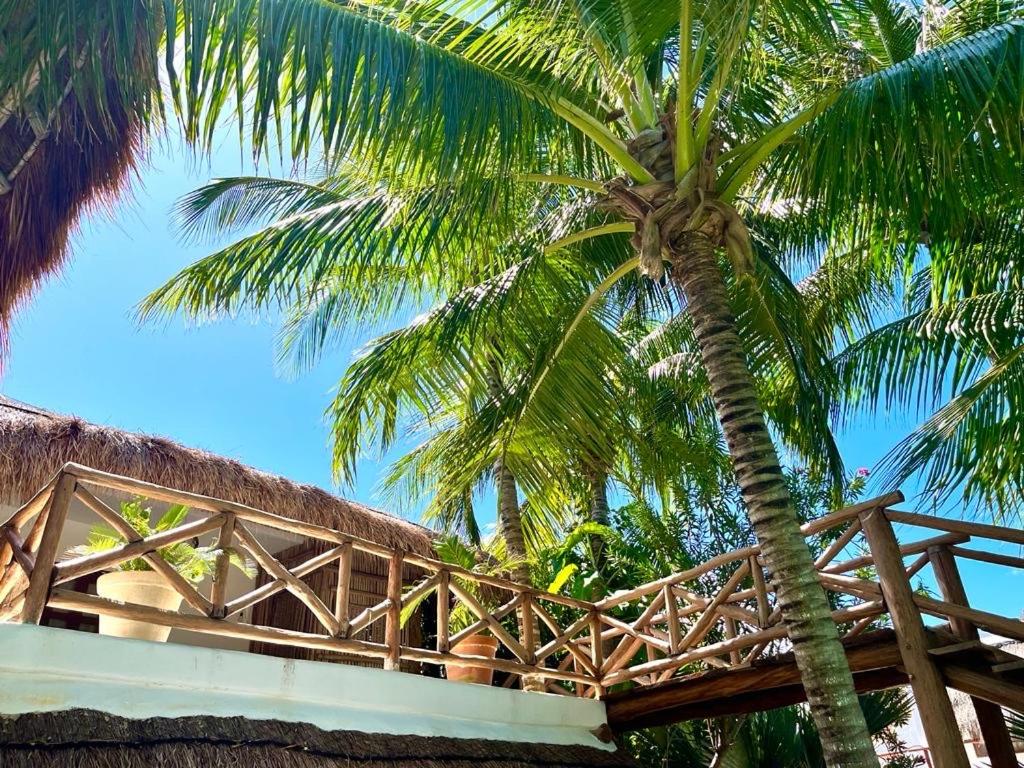 Casa Tom Tom - Beachfront Boutique Hotel, foto 10