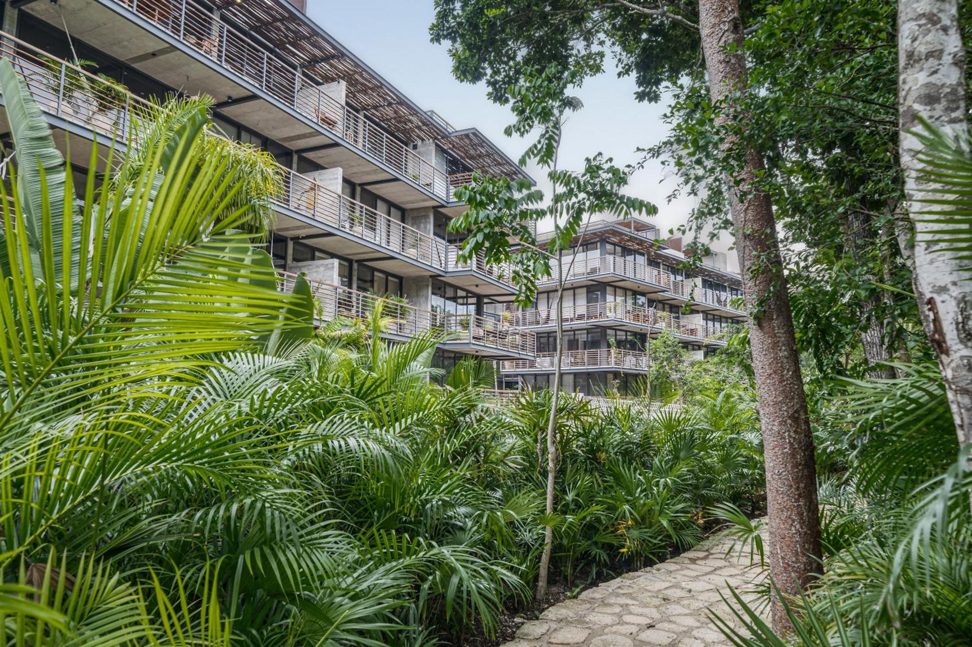 Tulum Paradise - Penthouse with Private Pool and Cenote, foto 9