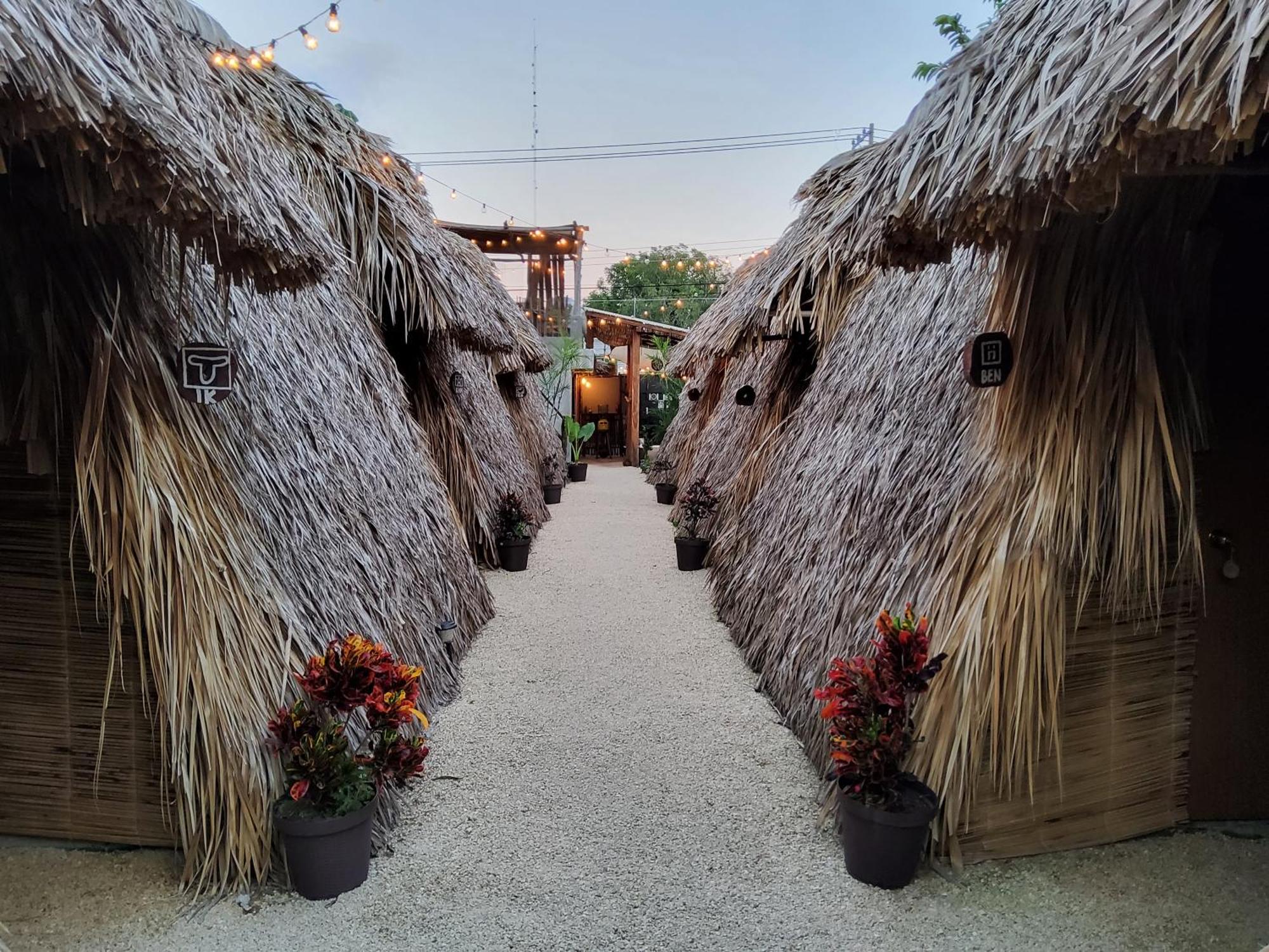 Hakuna Matata Glamping, foto 6