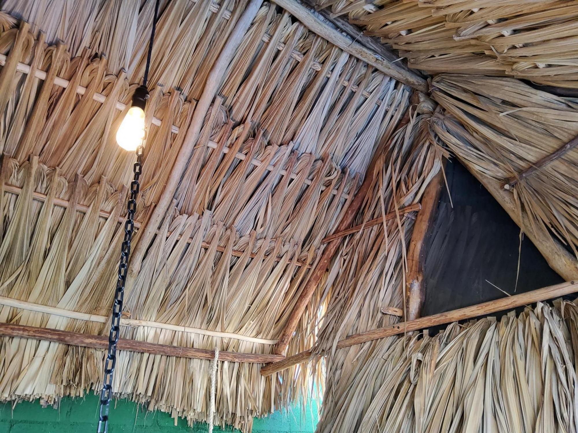 Hakuna Matata Glamping, foto 8
