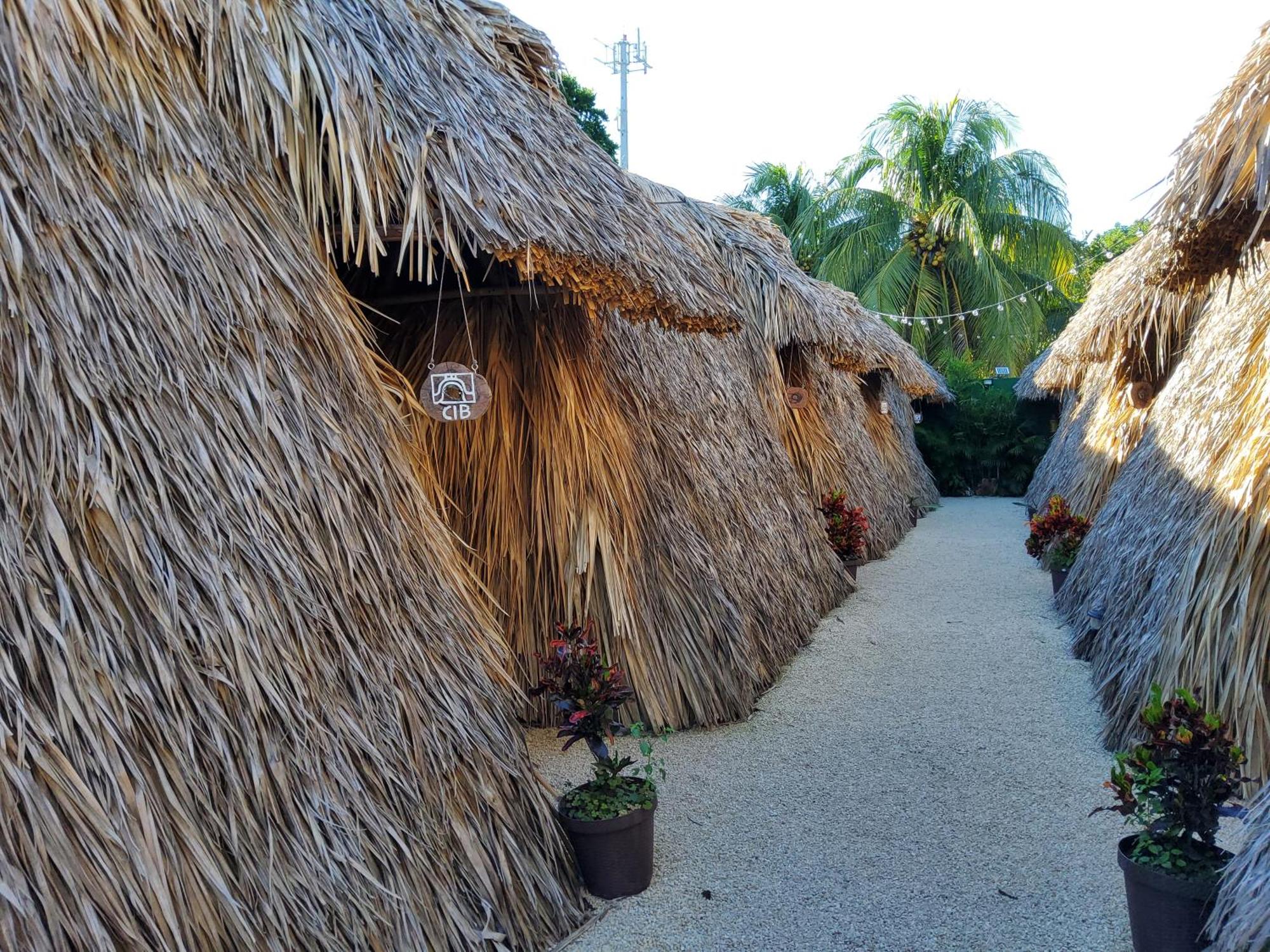 Hakuna Matata Glamping, imagen 4