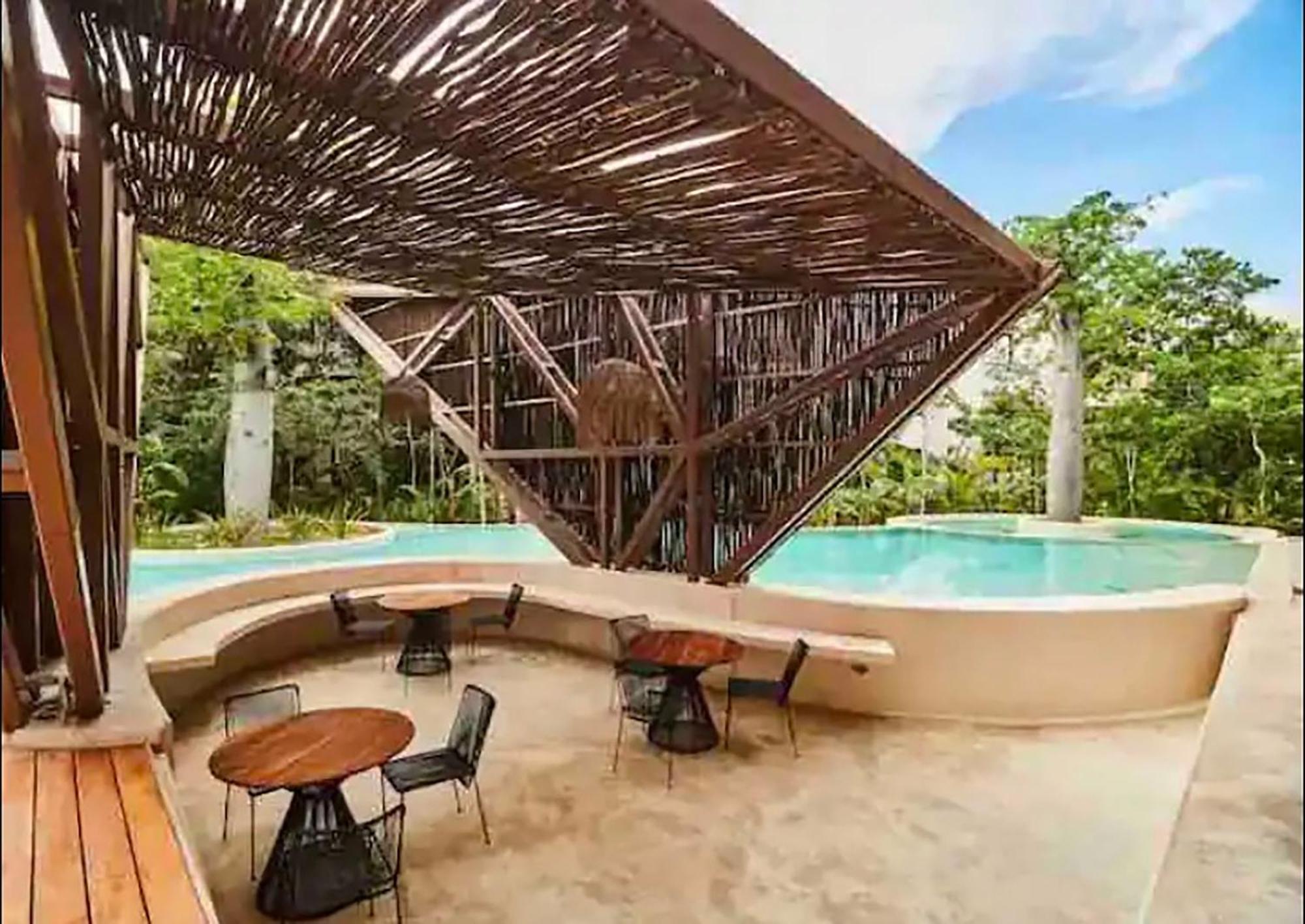 Luxurious Jungle Studio, foto 10