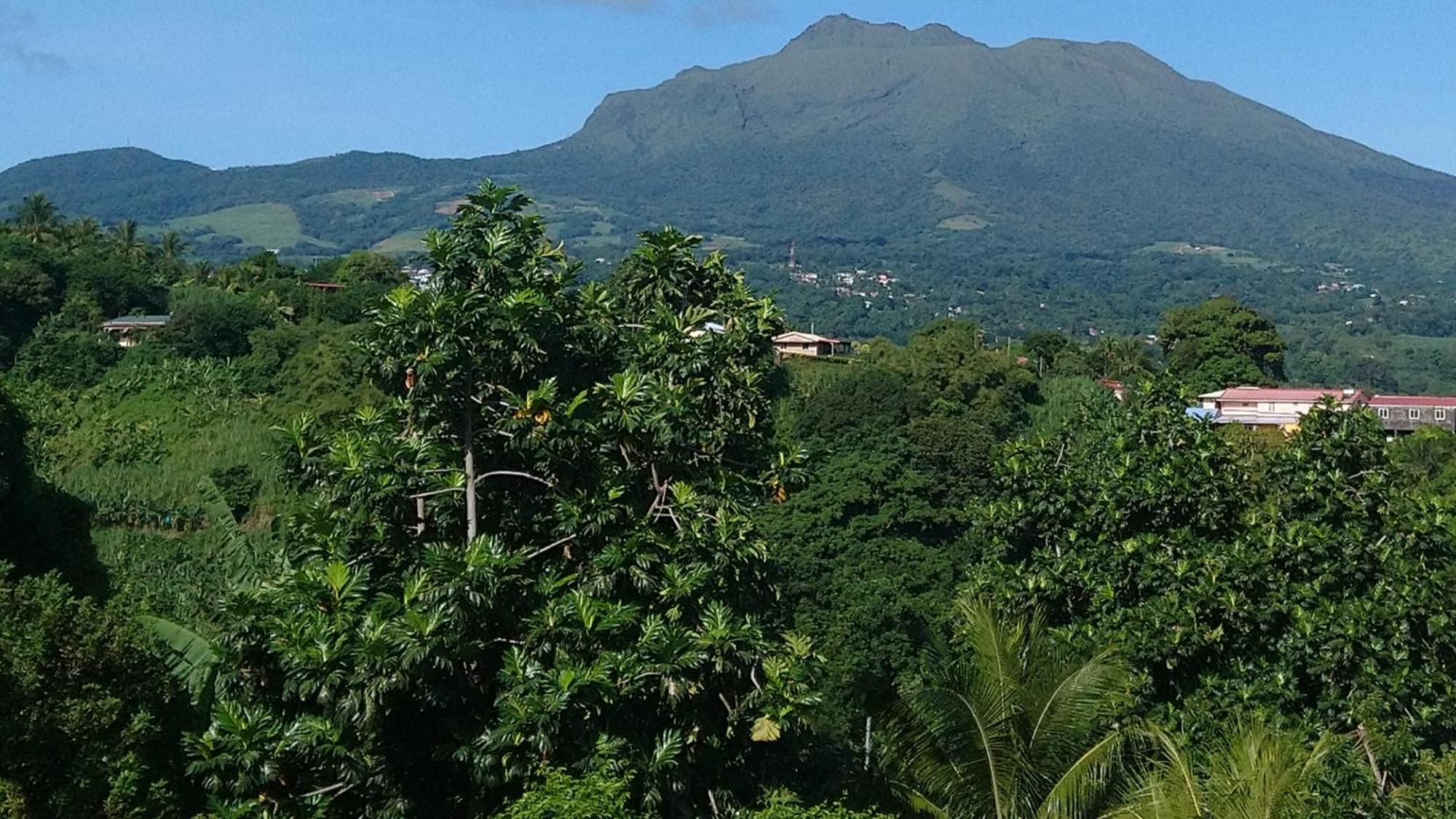 Zénitude Bungalow, imagen 5