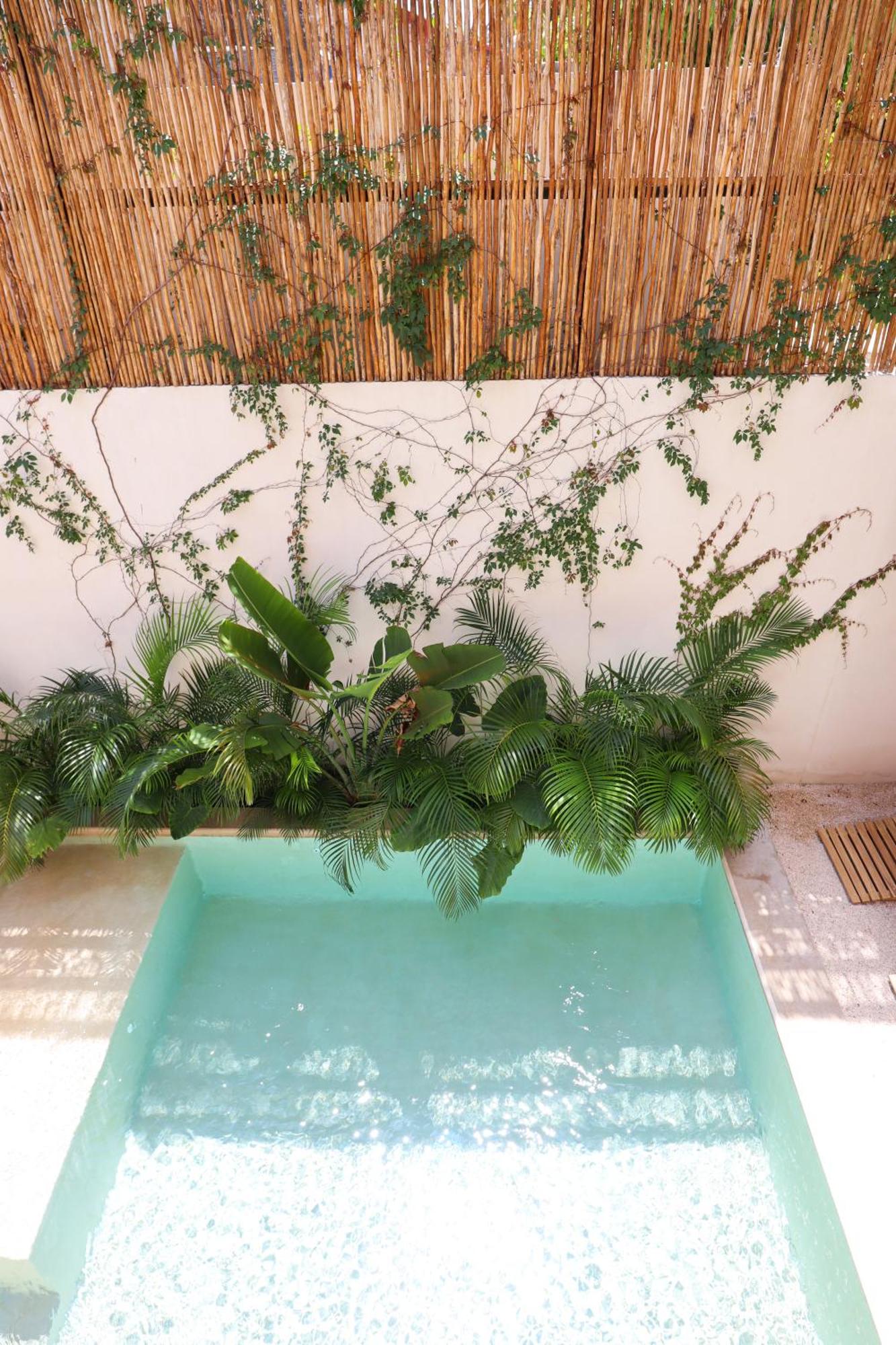 Akbal Tulum, imagen 2