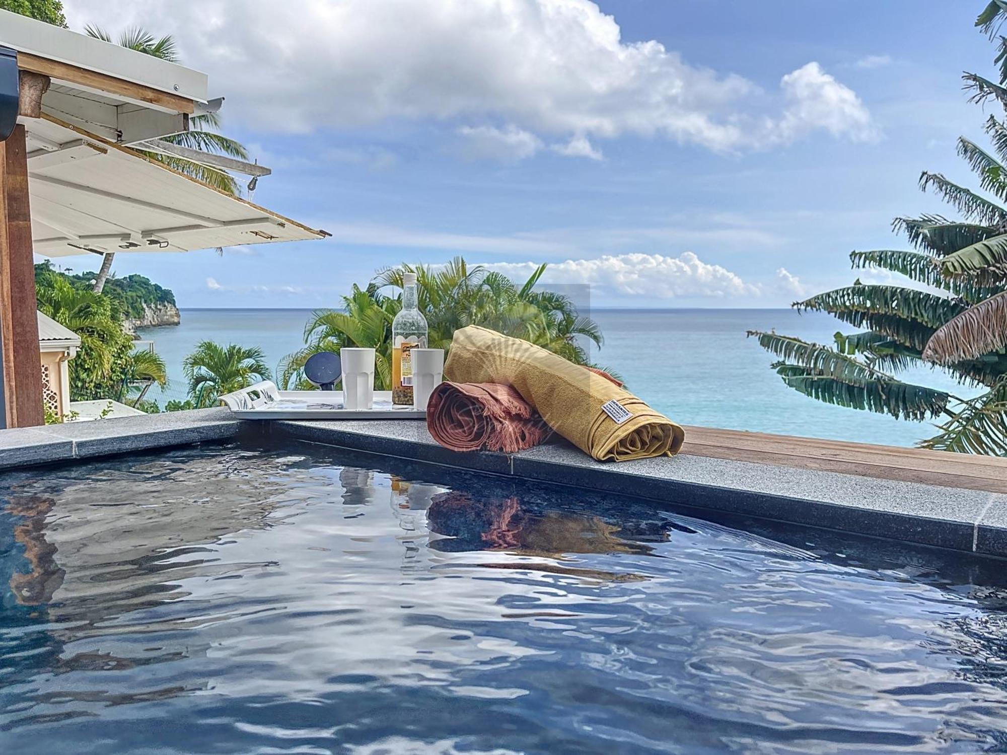 Appt Serenity Piscine Vue Mer