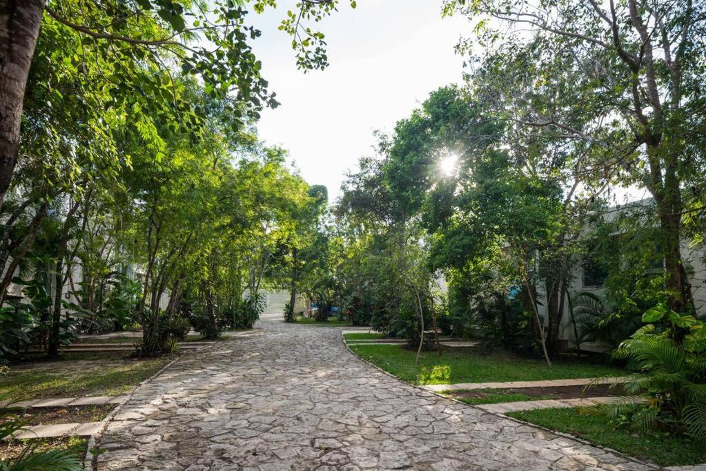 Relaxing Loft with private pool and amazing views in the heart of tulum, foto 13