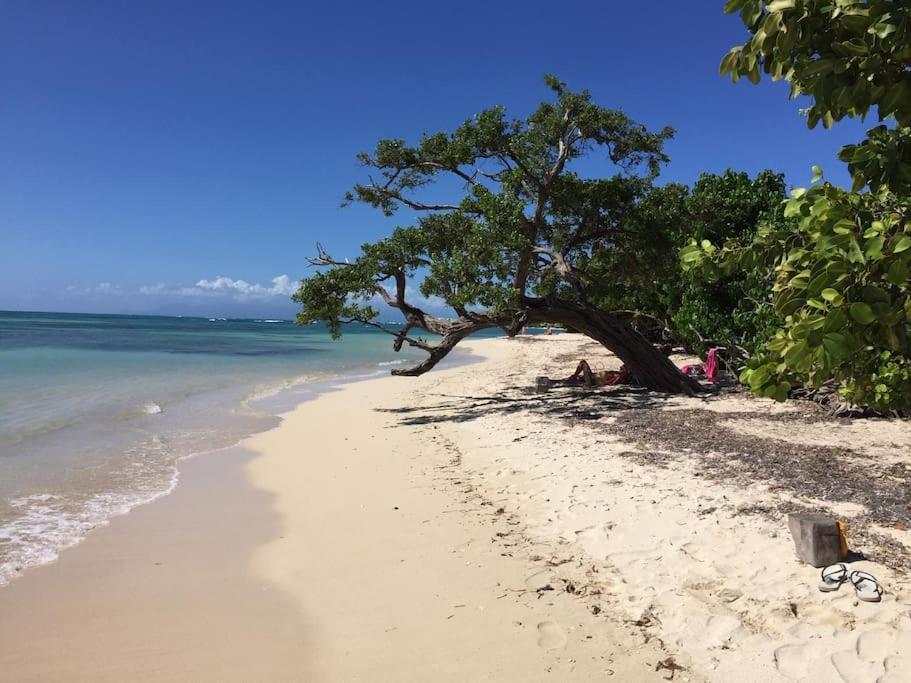 Villa Petite Terre à 50 mètres de la plage, foto 16