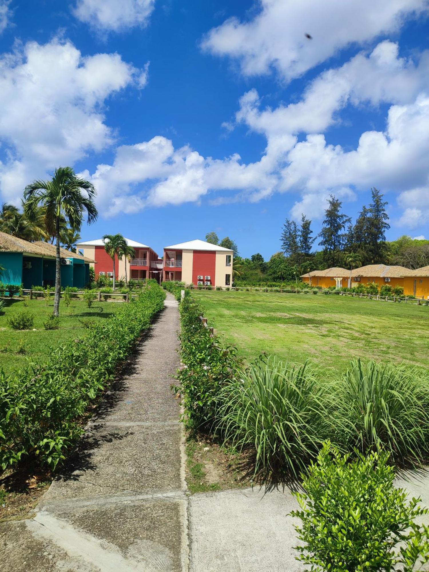 Studio Toumalacai, imagen 2