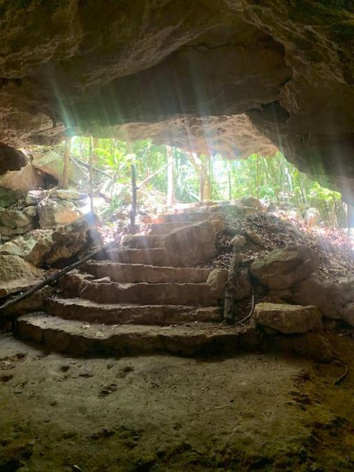 Palapa de la Selva with Cenotes, imagen 4