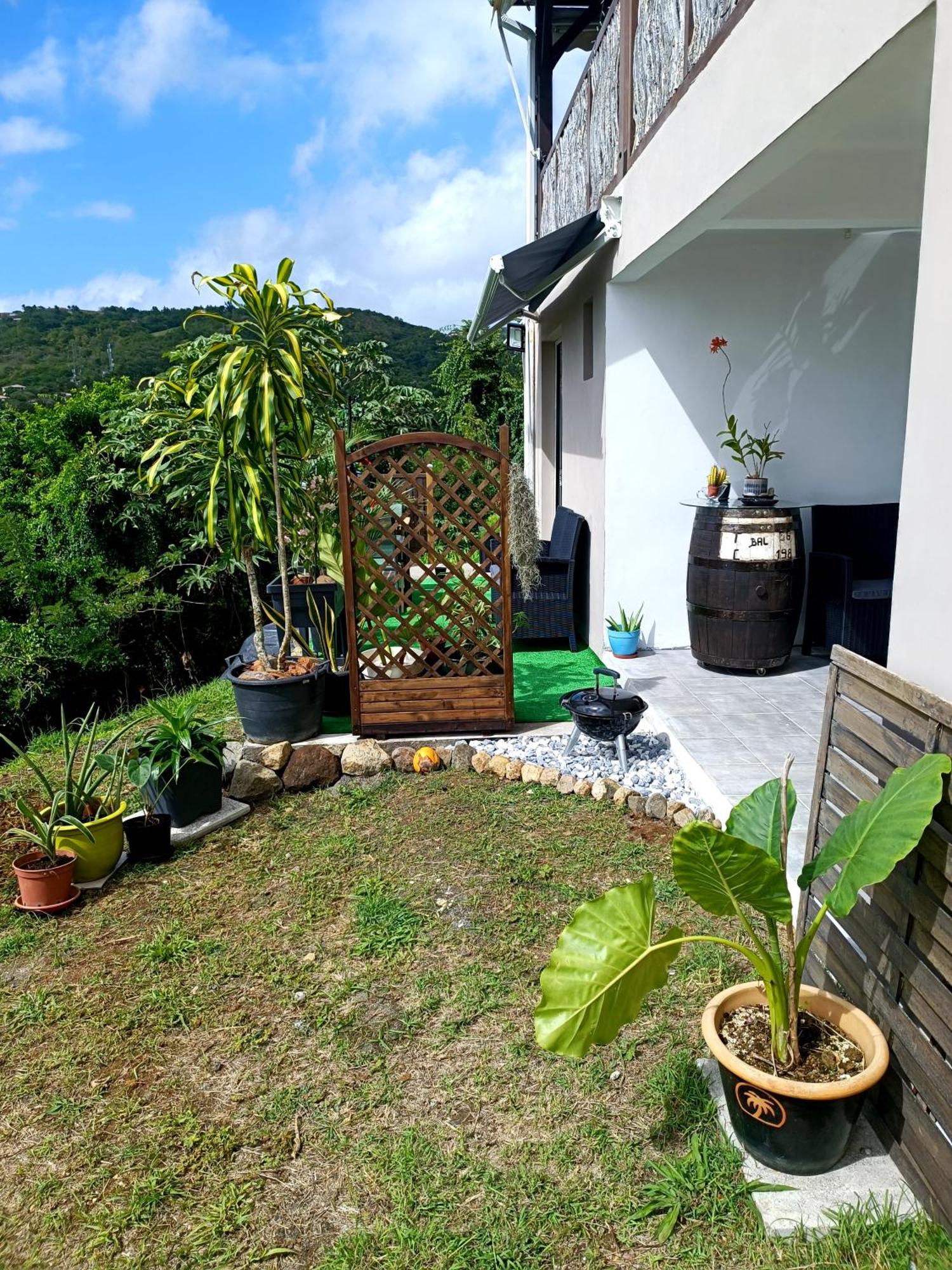 Poz Tropicale, foto 12