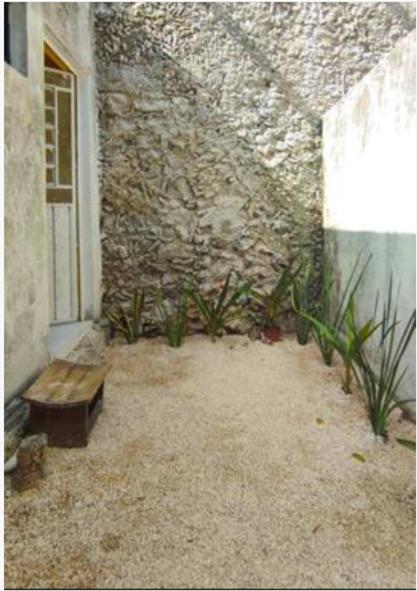 El canario, imagen 2