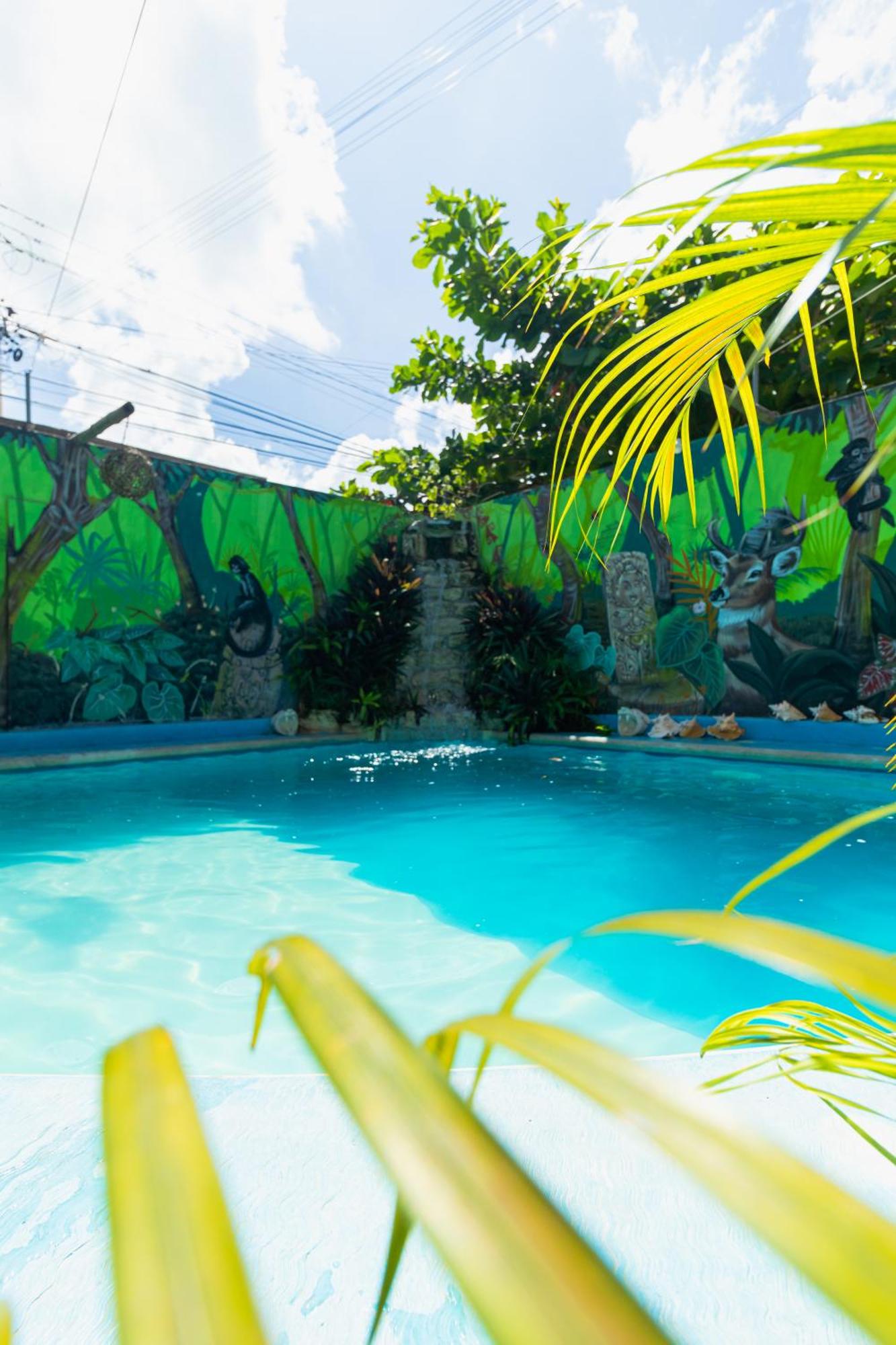 Zayali Bacalar, foto 12