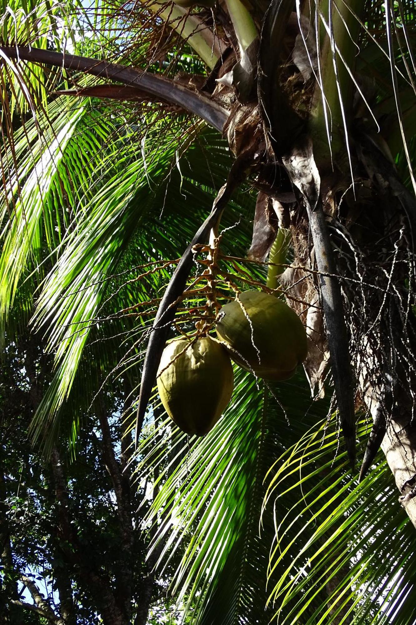 Cozy T2 calme au cœur de la nature, foto 12