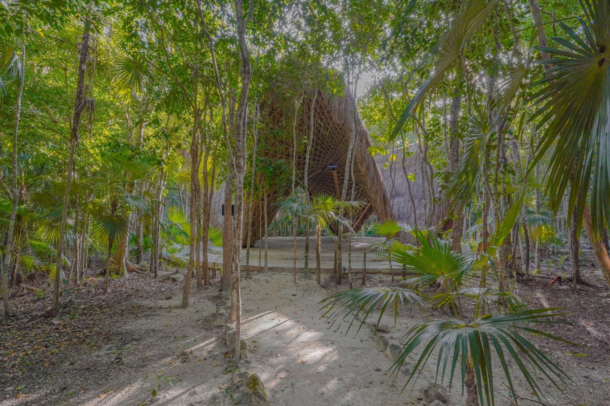 Miraluna stunning penthouse in exclusive area Tulum, foto 10