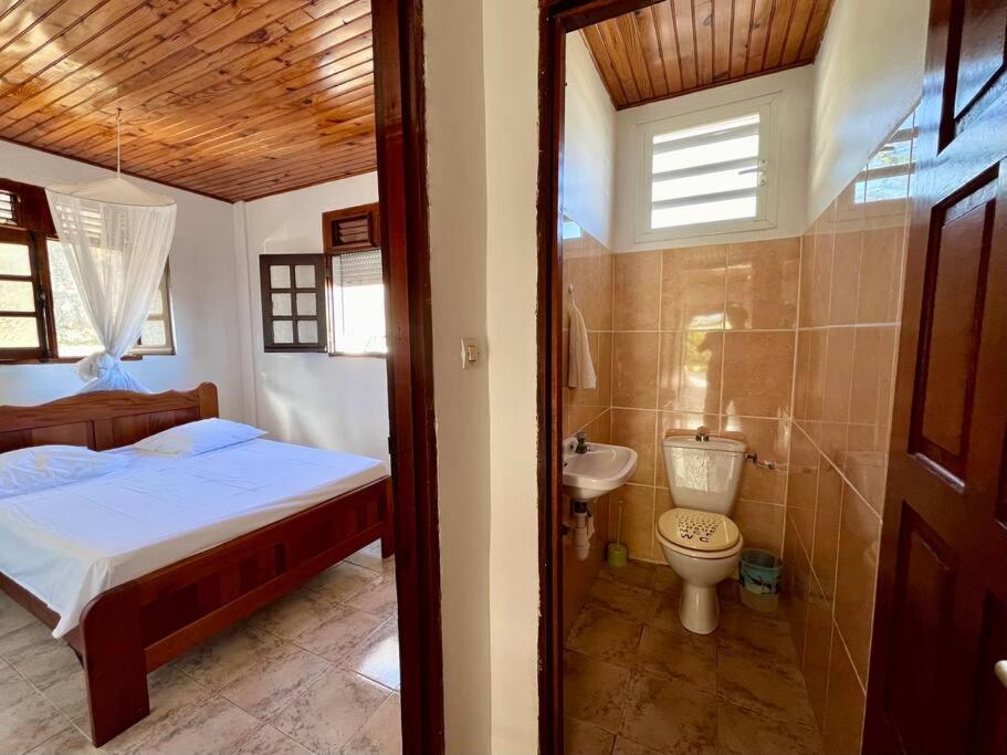 Villa Des Palmiers, imagen 5