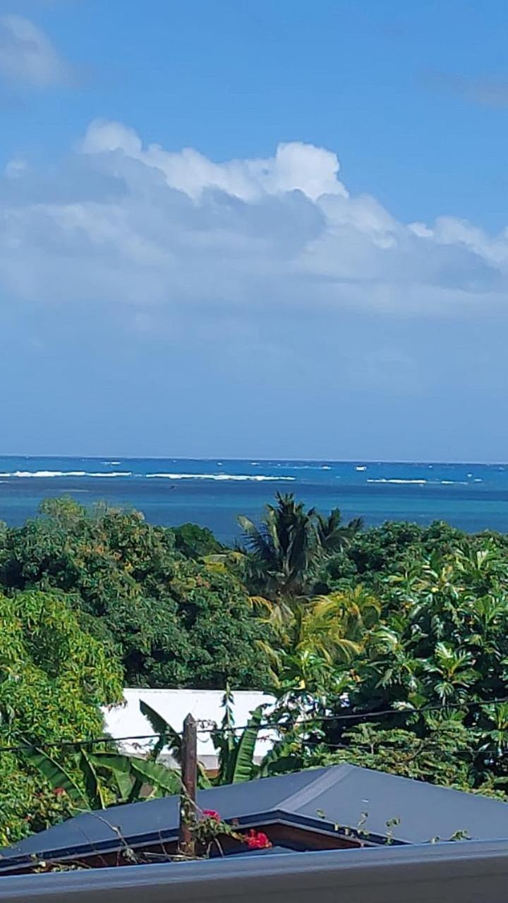 F2 Vue sur mer La villa du manguier, foto 14