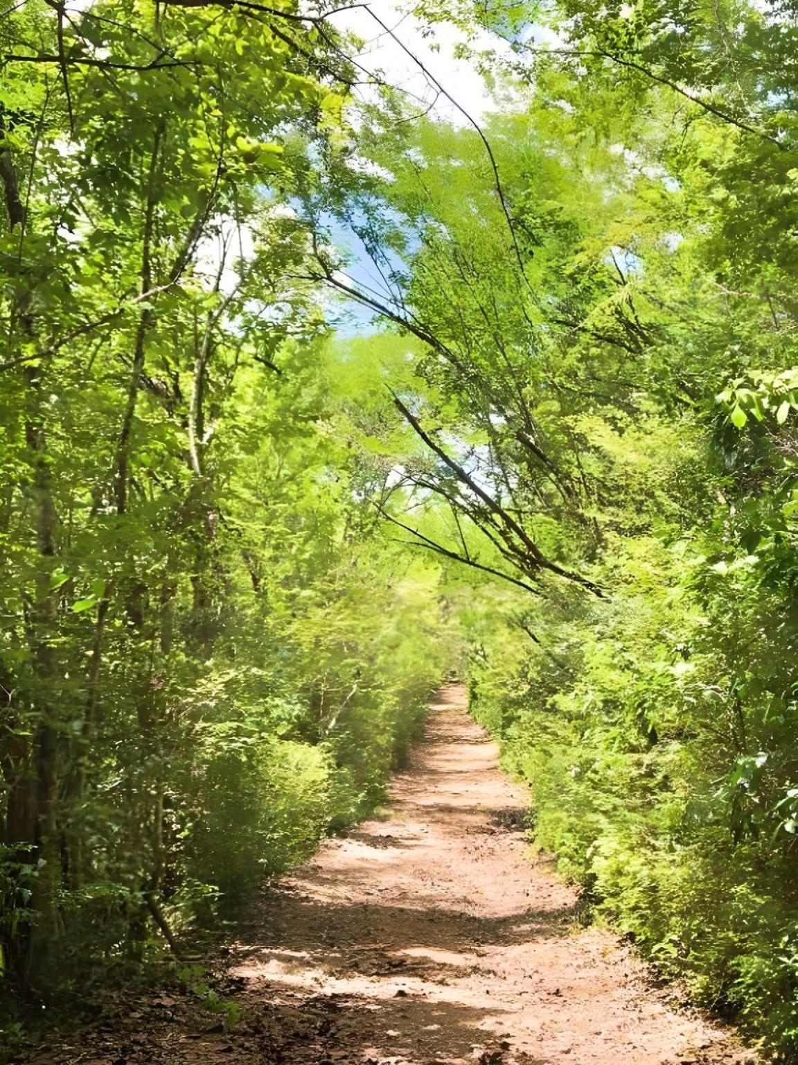 Domaine de l'Anse Ramier, foto 16