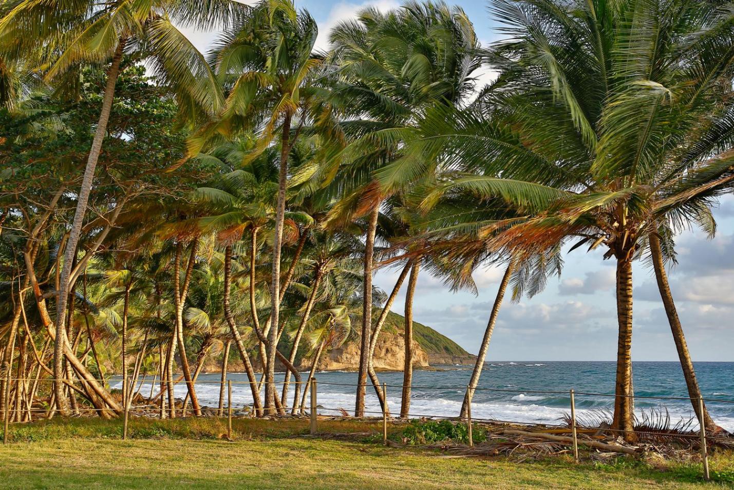 Maison d'Ô Baie de Saint-Jacques, sur une plage sauvage, imagen 4