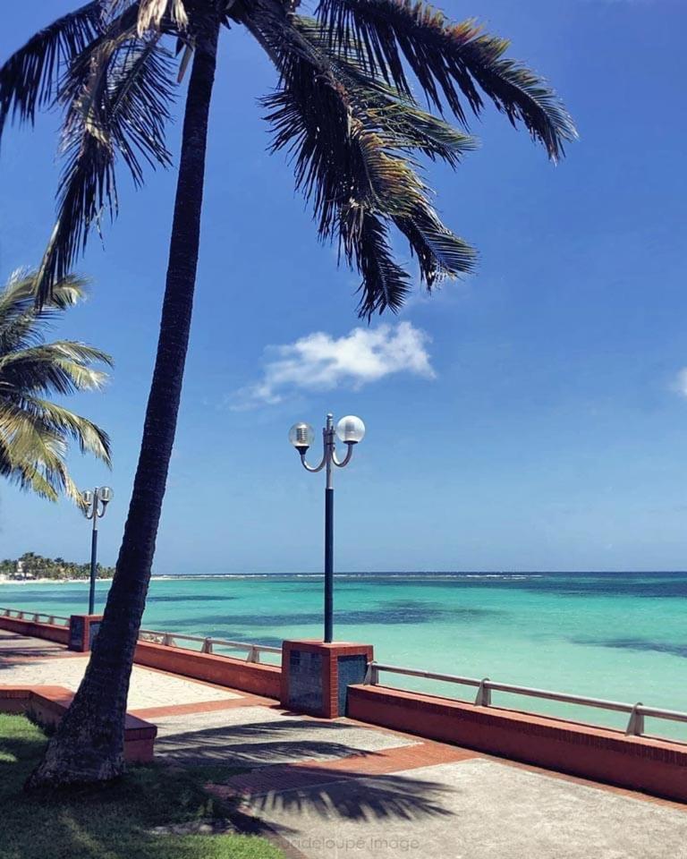 L'escale Tropicale, imagen 4