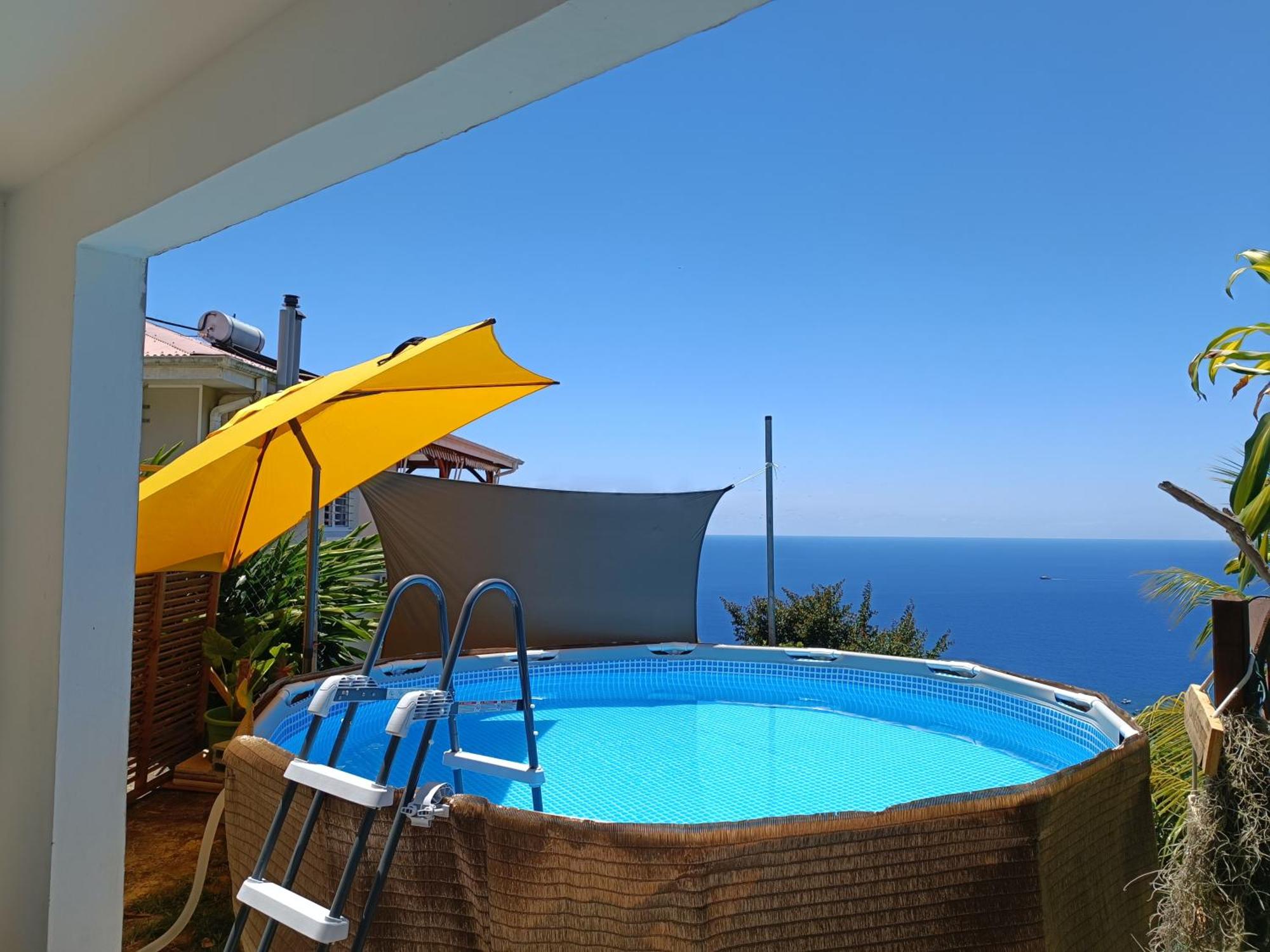 Poz Tropicale, imagen 2